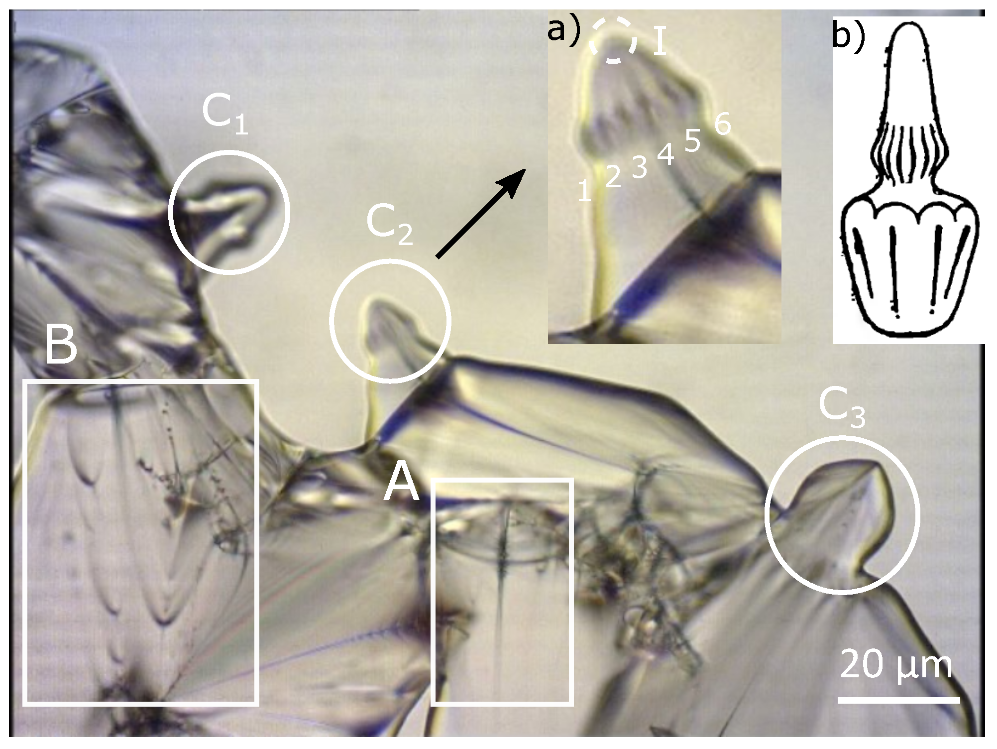 Materials 14 04539 g004 Materials 14 04539 g004