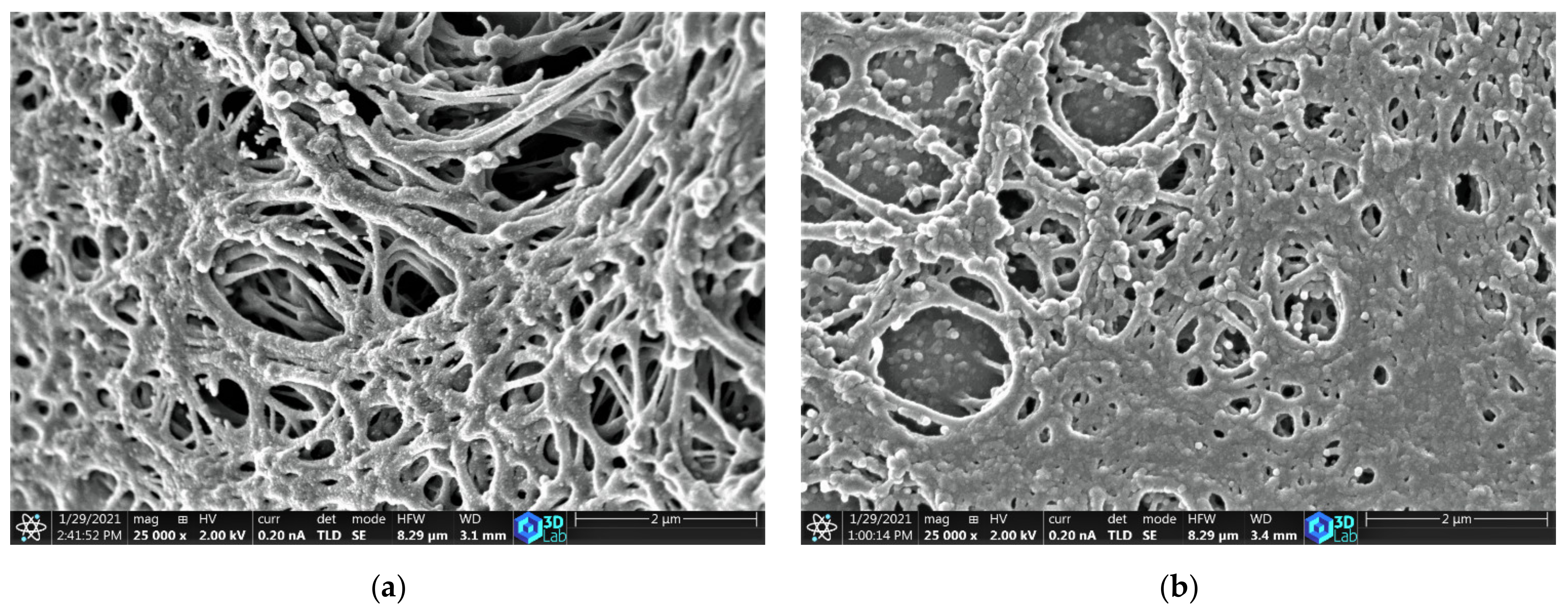 Materials 14 04540 g002a