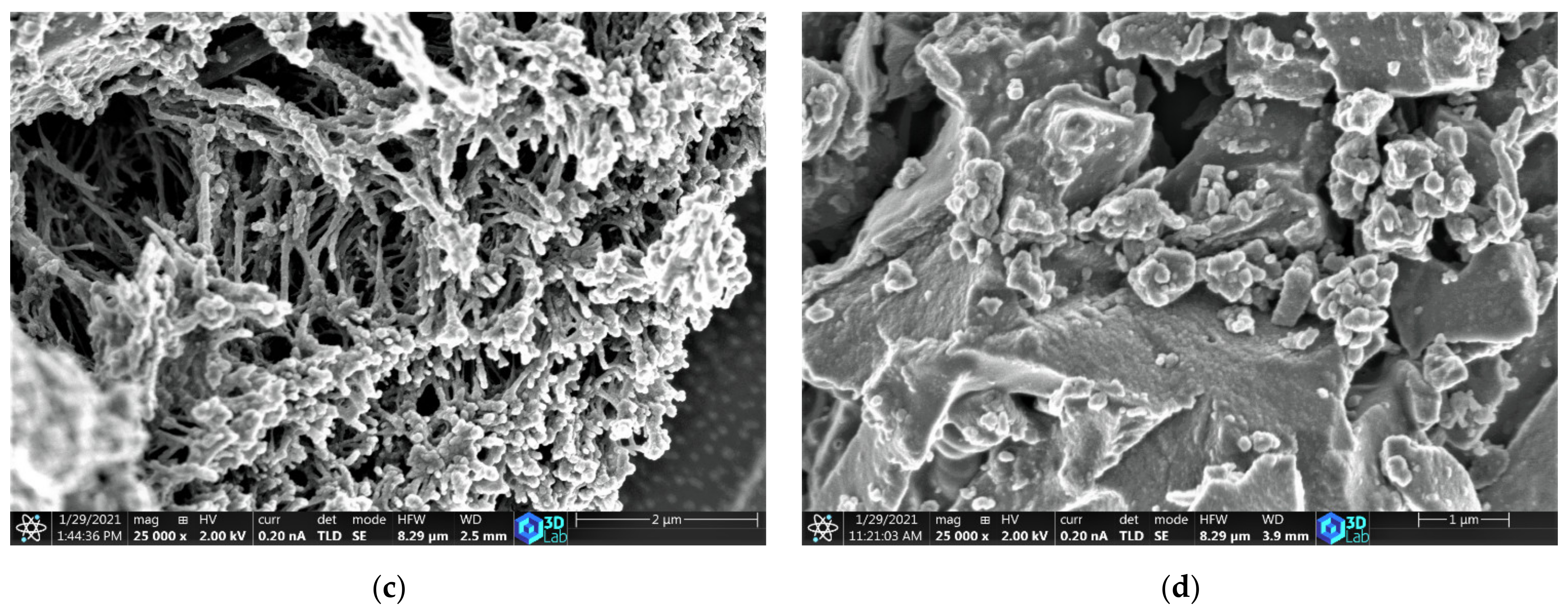 Materials 14 04540 g002b