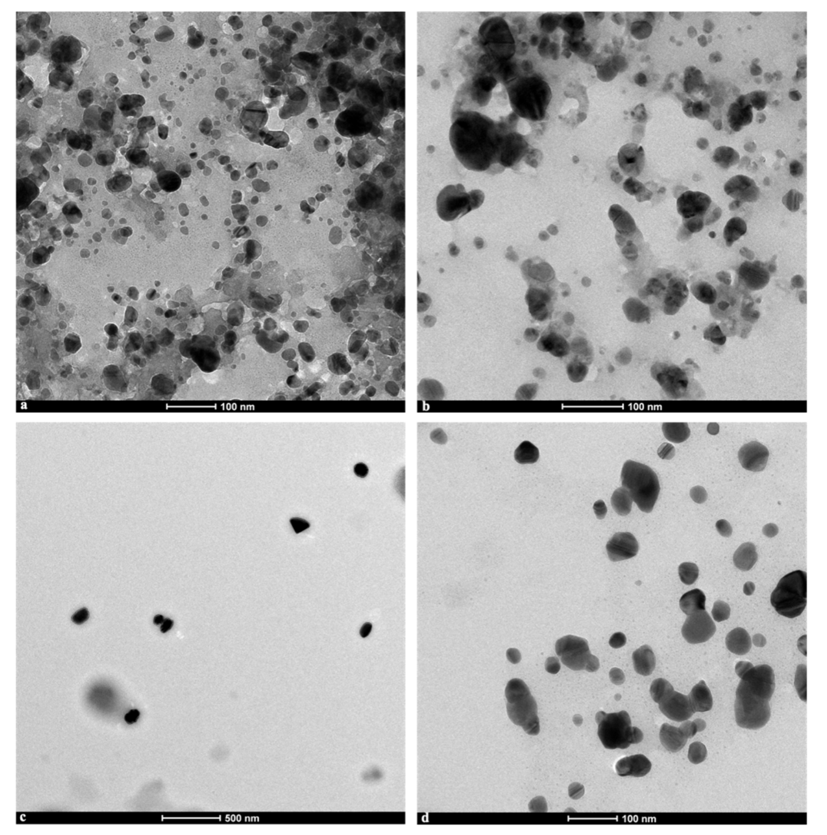 Materials 14 04543 g005