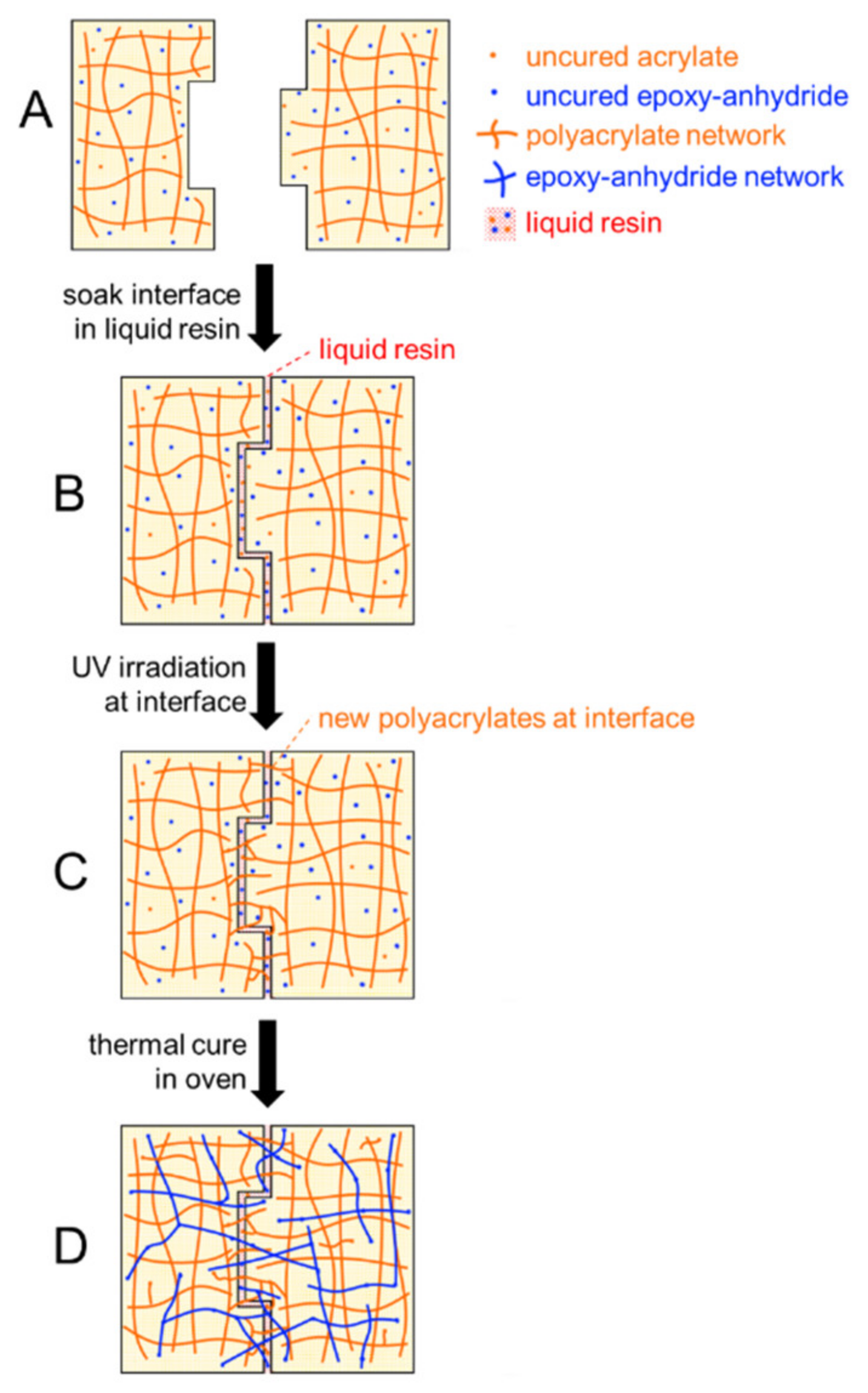 Materials 14 04544 g013 550