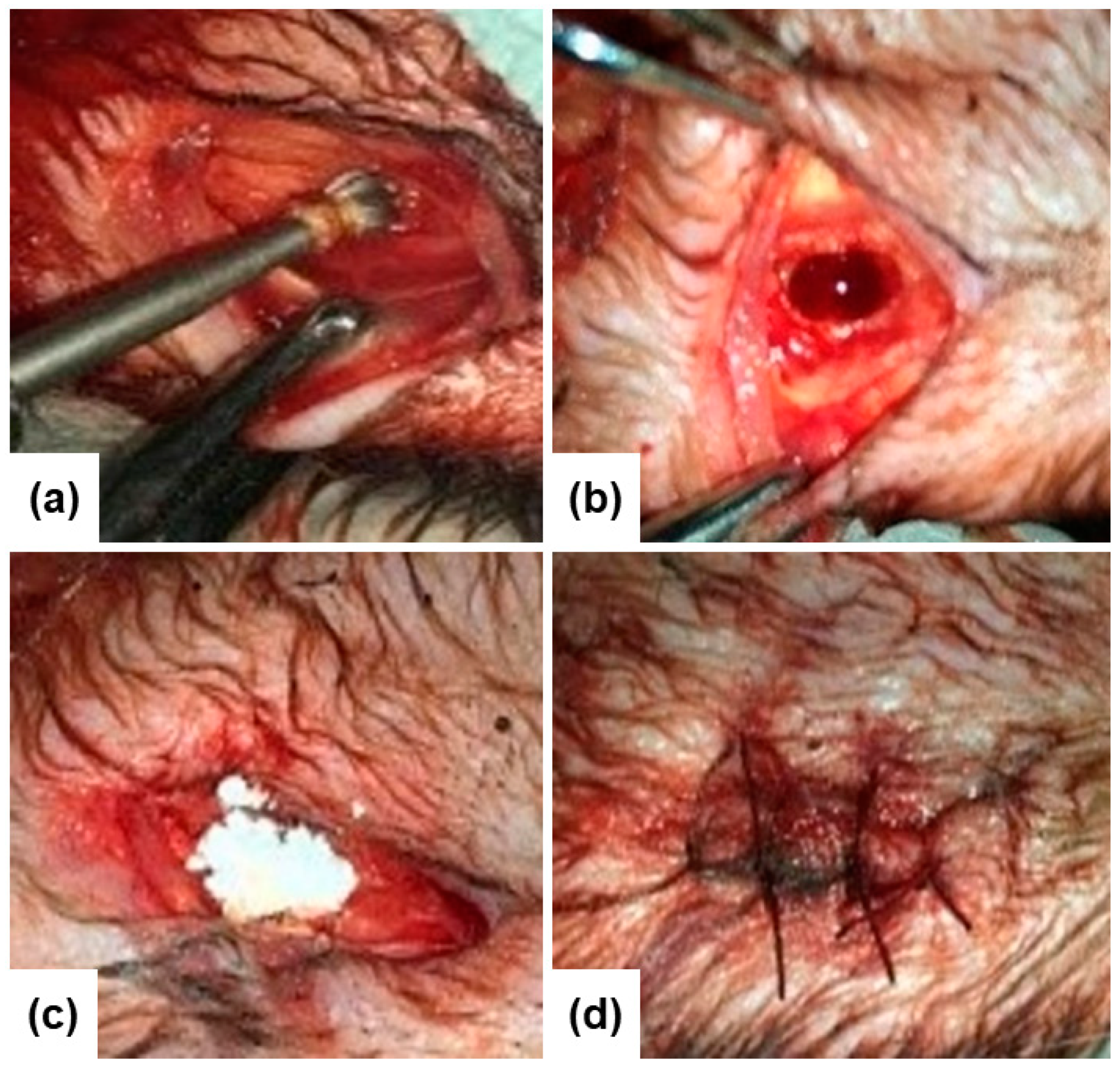 Materials 14 04546 g002