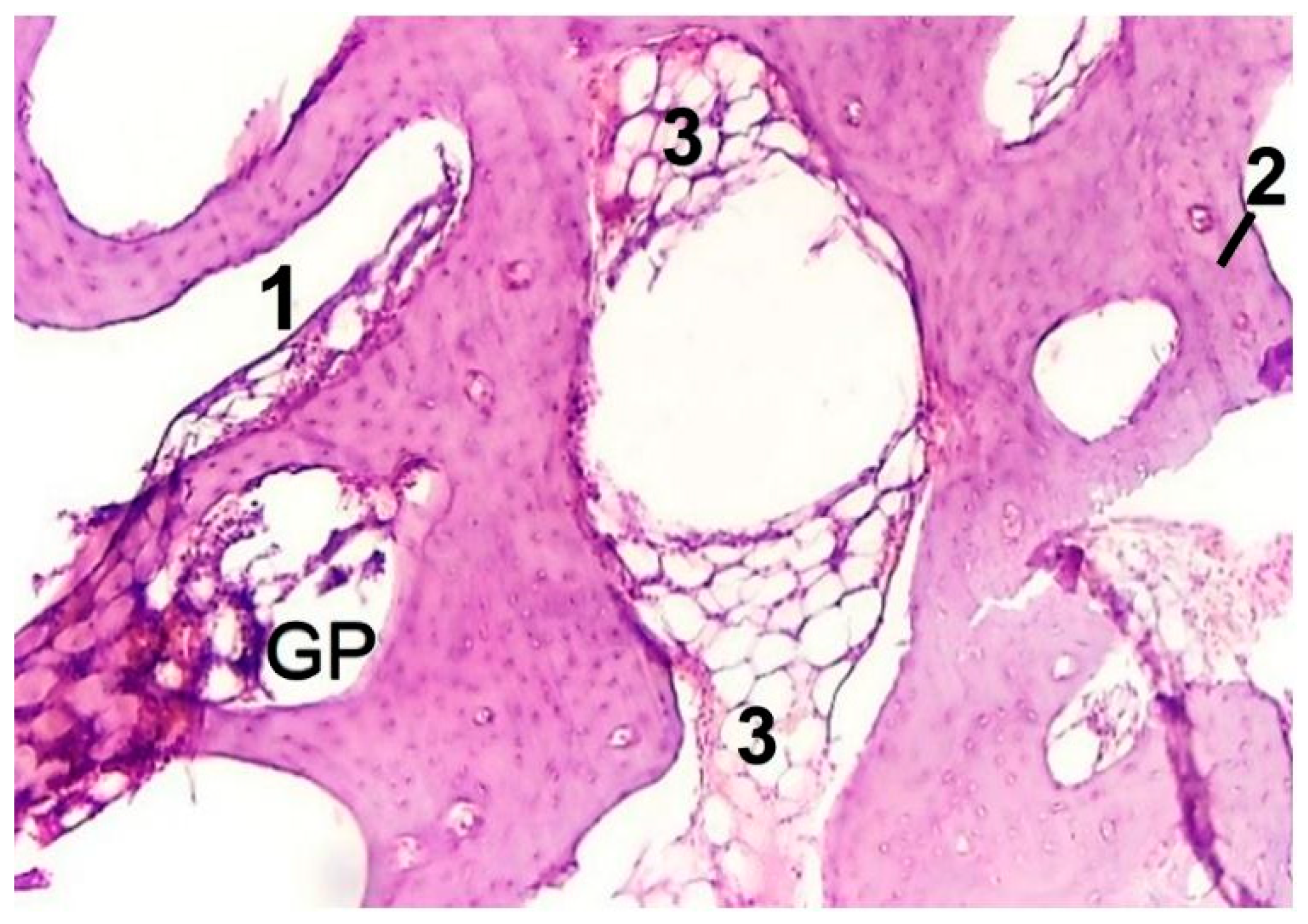 Materials 14 04546 g005