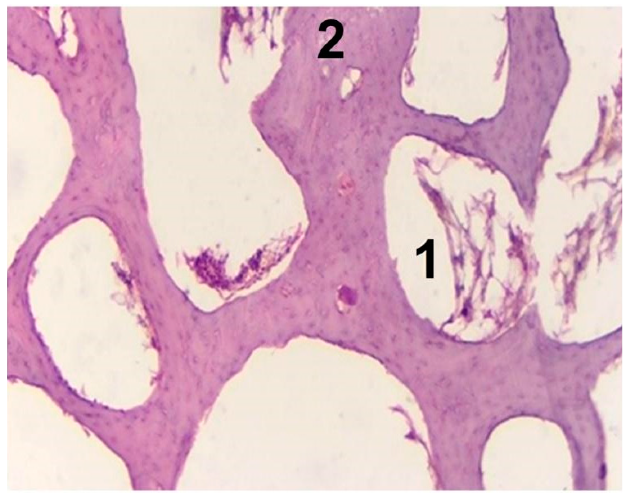 Materials 14 04546 g007