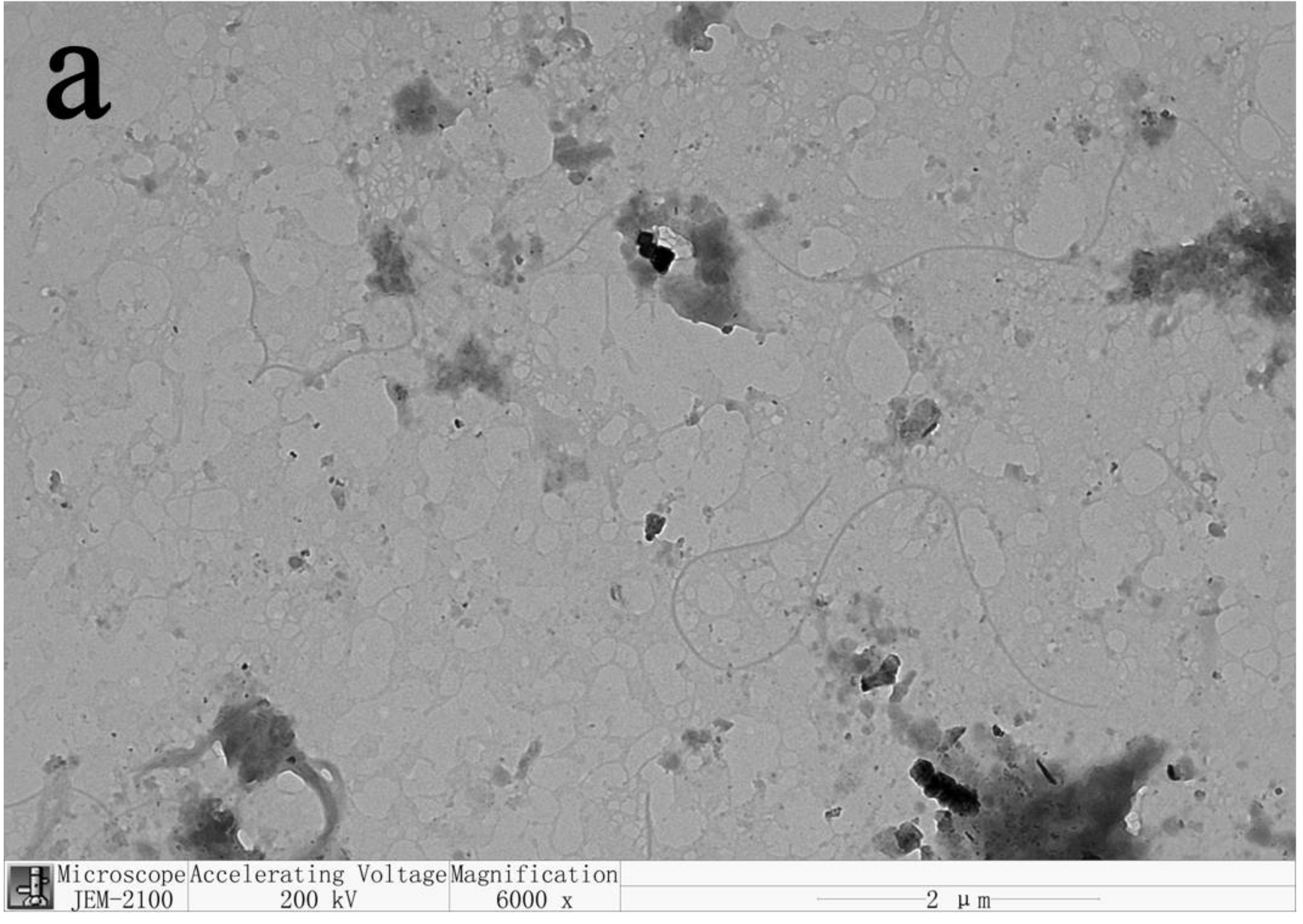 Materials 14 04557 g003a 550