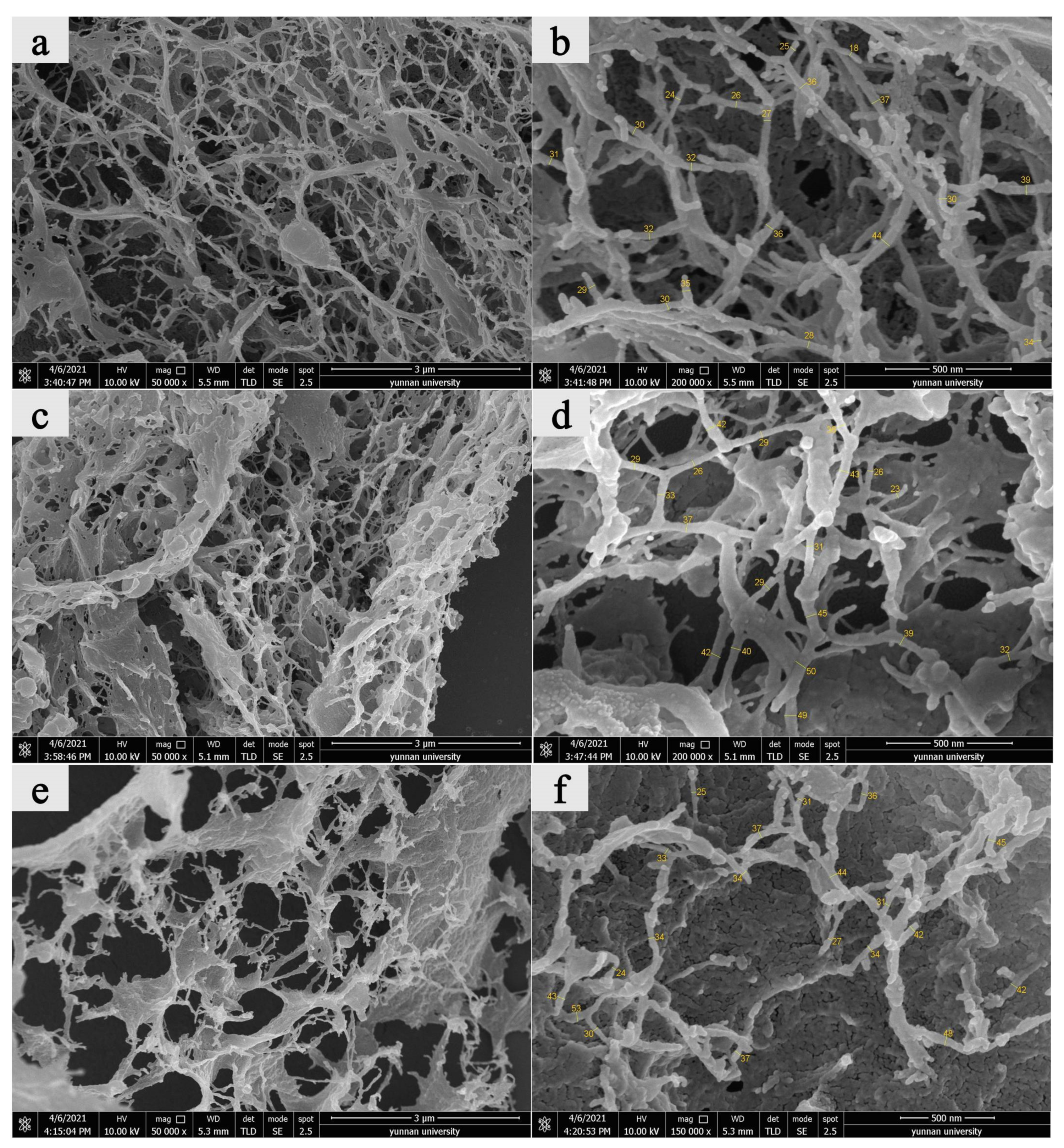 Materials 14 04557 g005 550