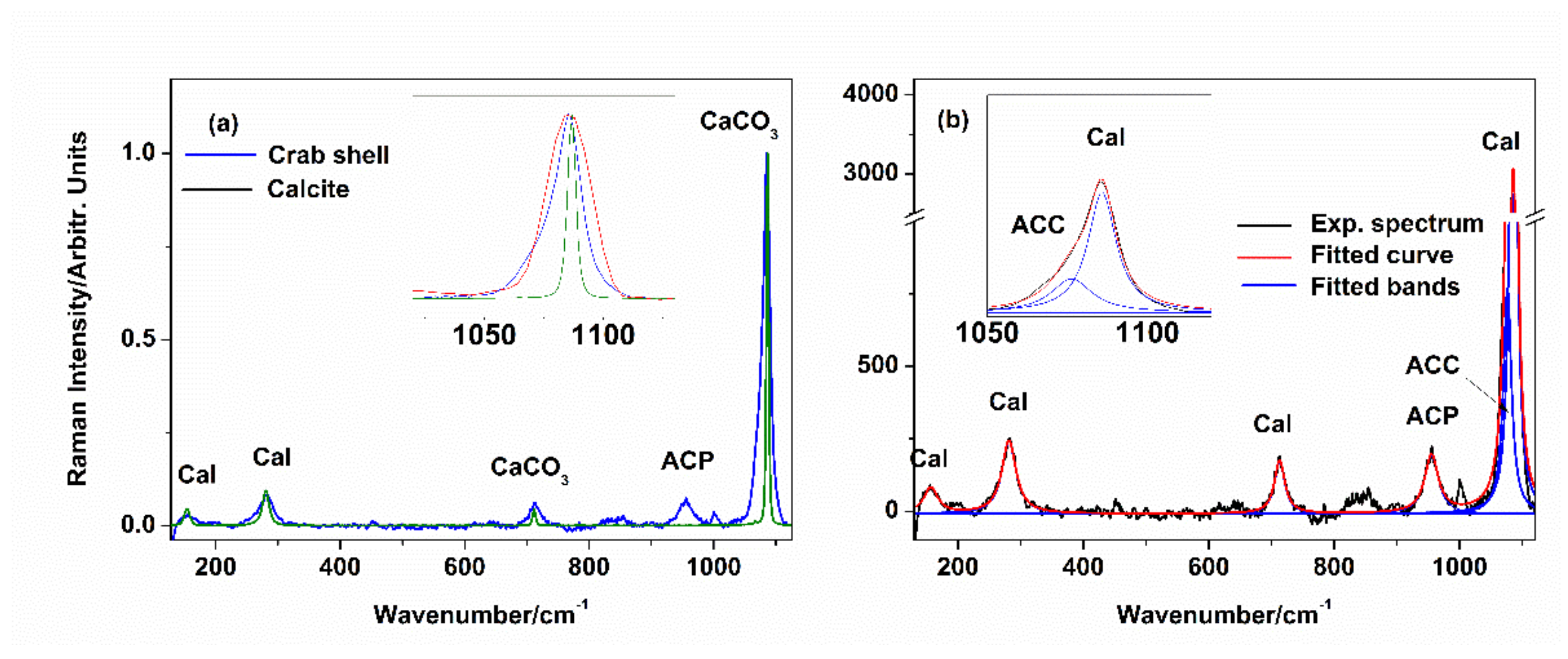 Materials 14 04558 g002 550