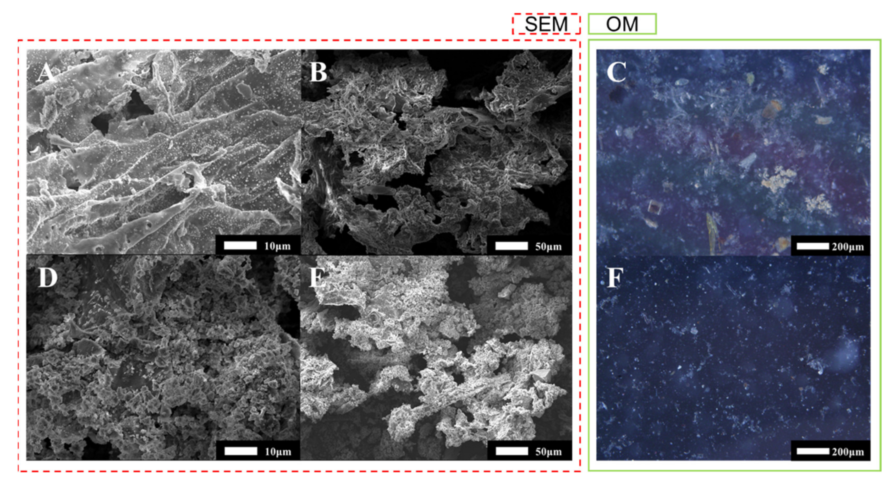 Materials 14 04562 g007 550