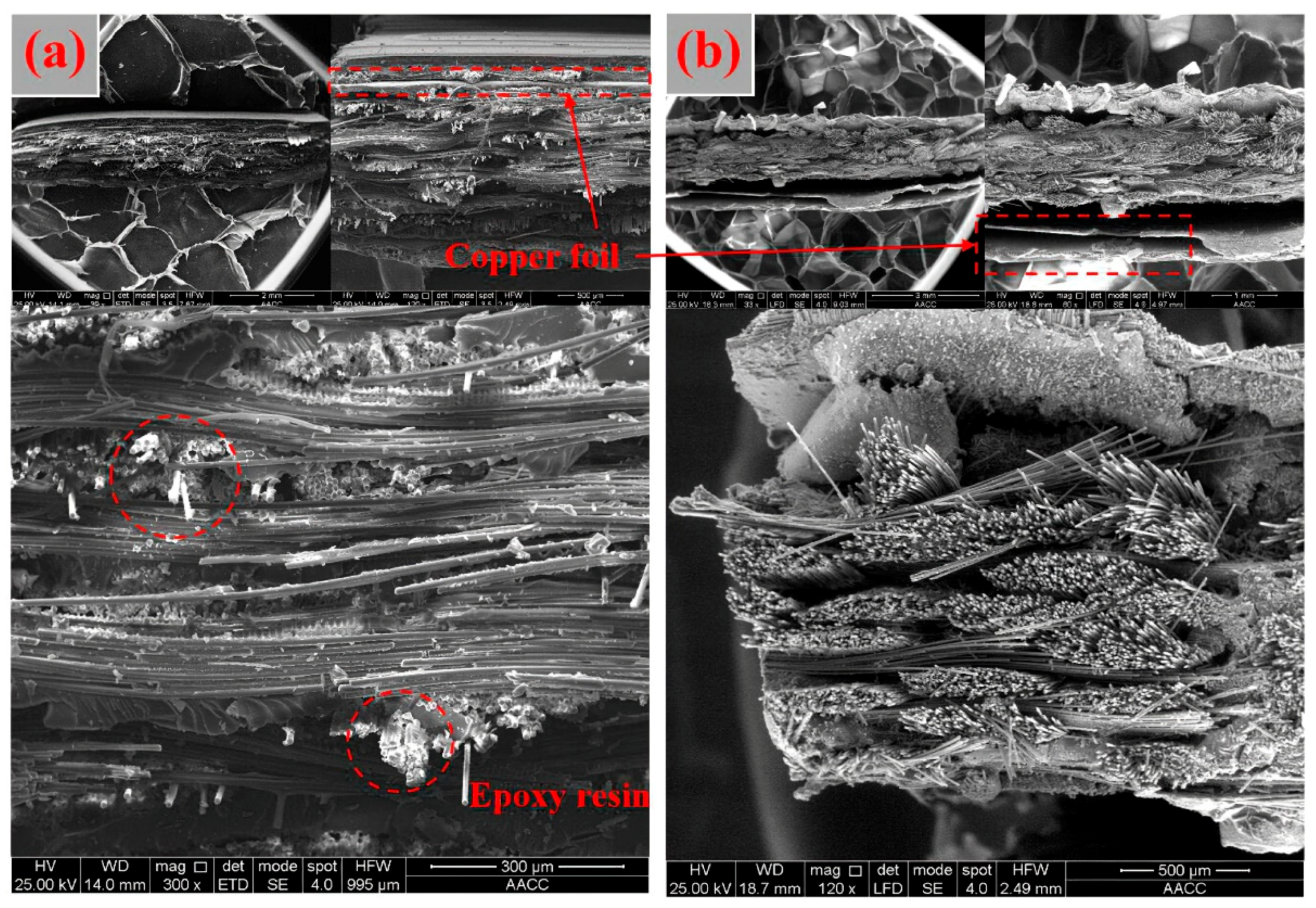 Materials 14 04566 g003 550