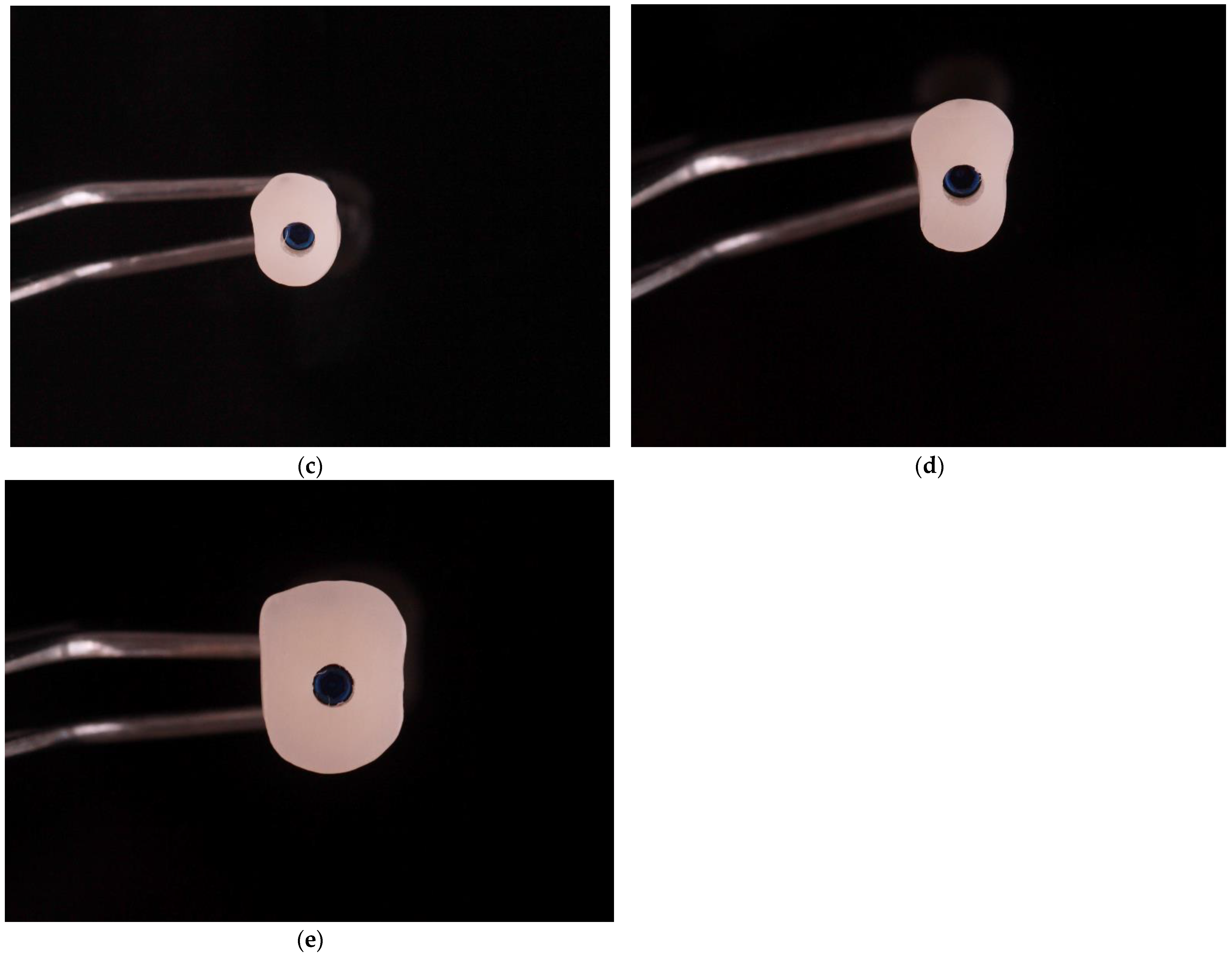 Materials 14 04570 g005b