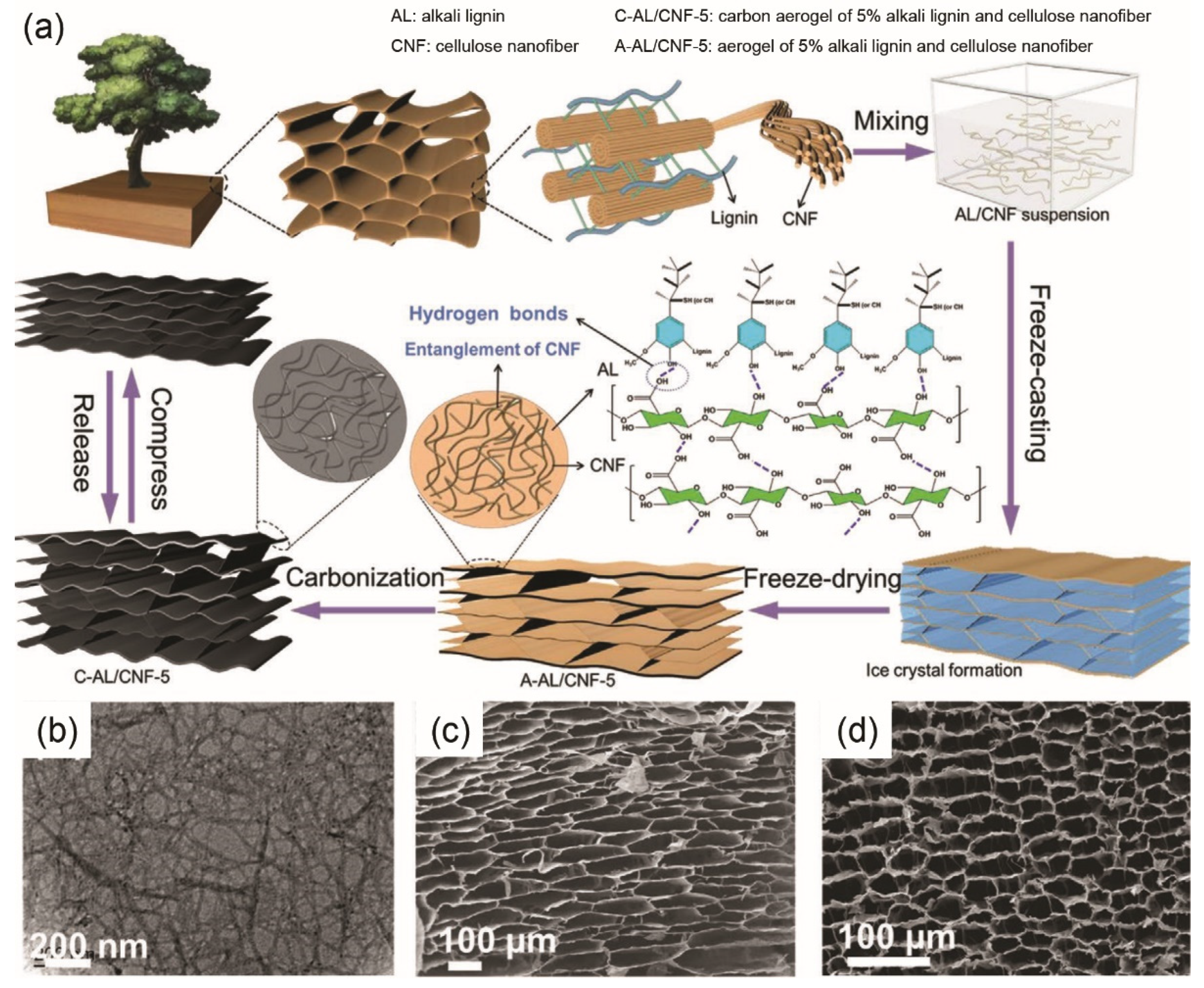 Materials 14 04571 g006