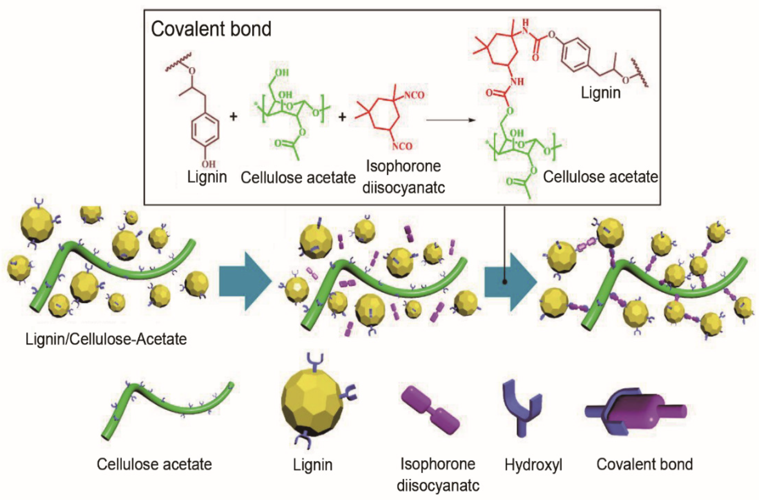 Materials 14 04571 g010