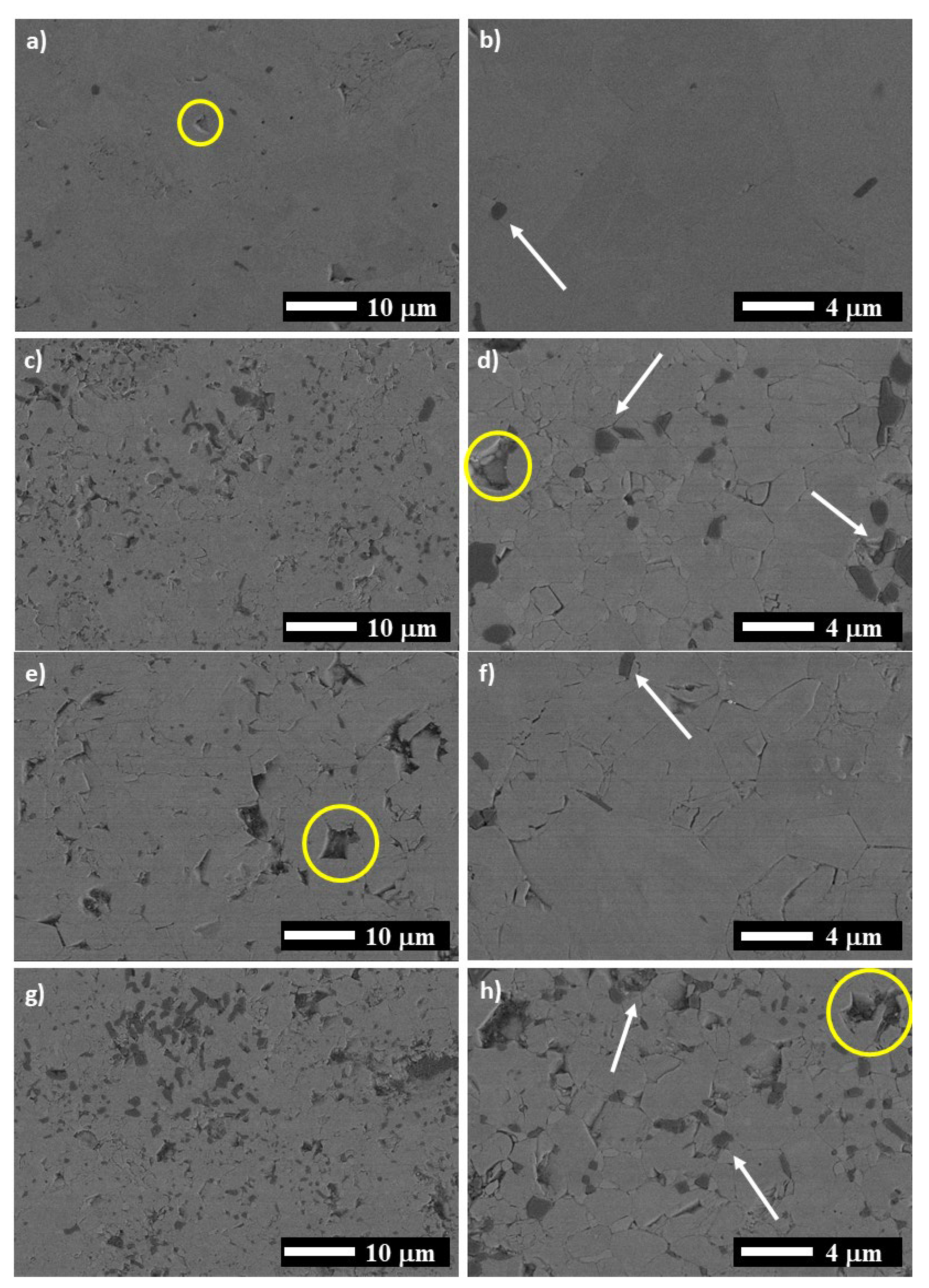 Materials 14 04574 g004 550