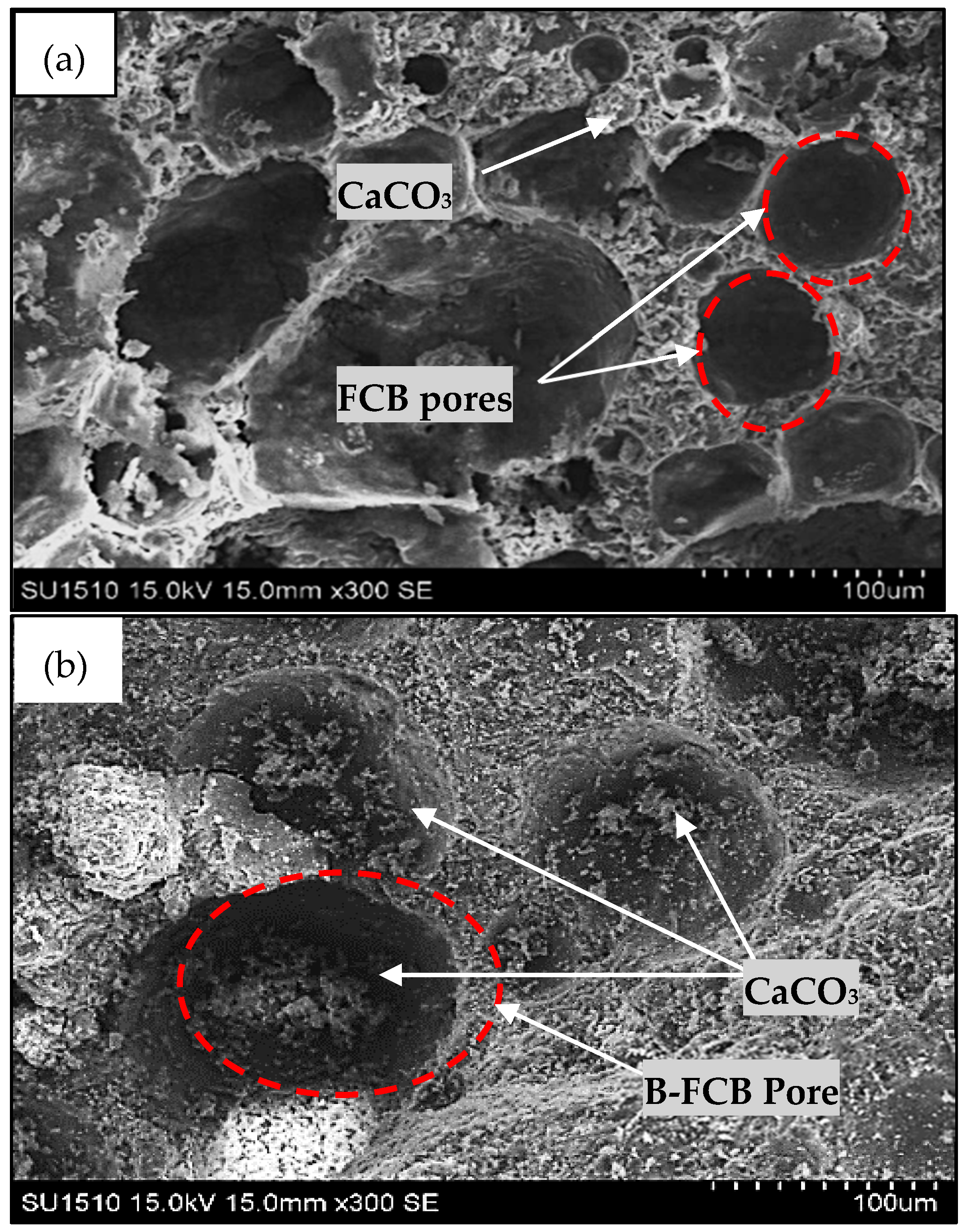 Materials 14 04575 g008 Materials 14 04575 g008