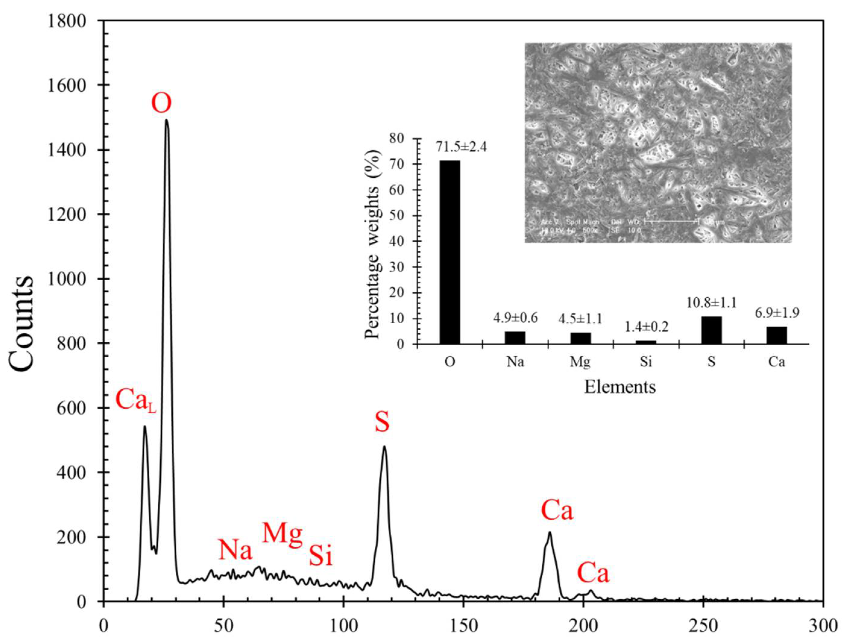 Materials 14 04579 g003