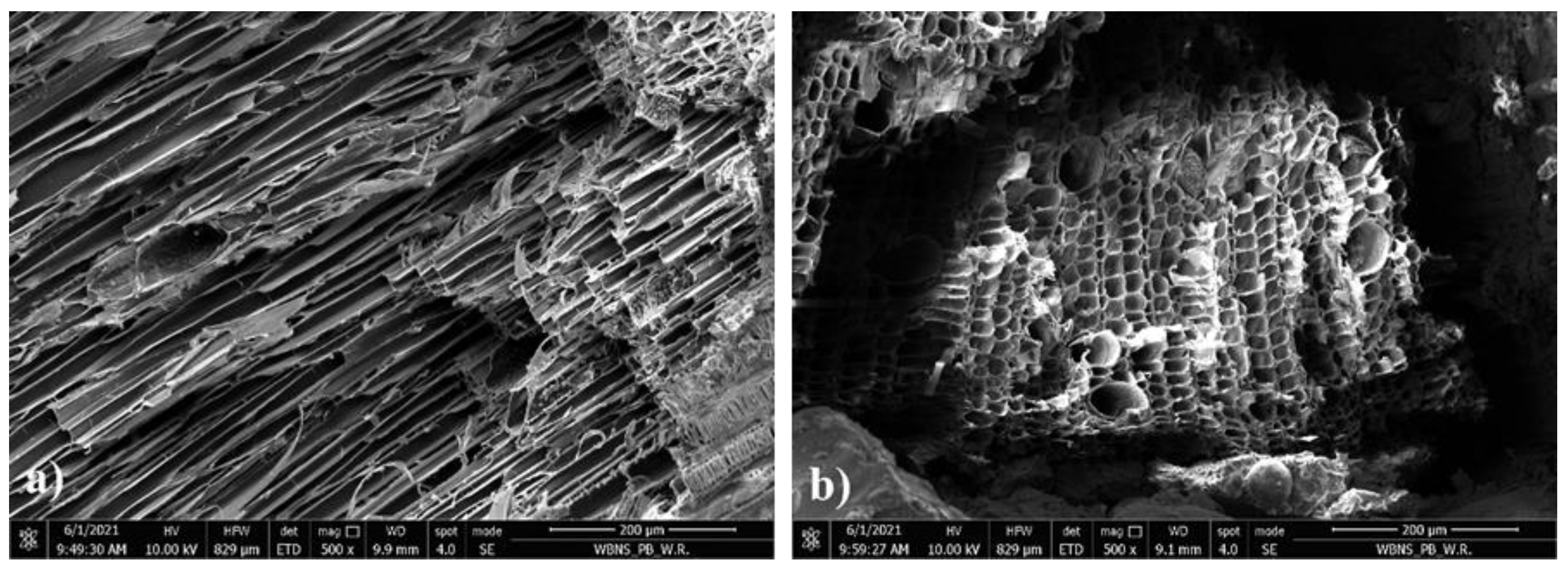 Materials 14 04580 g016 550