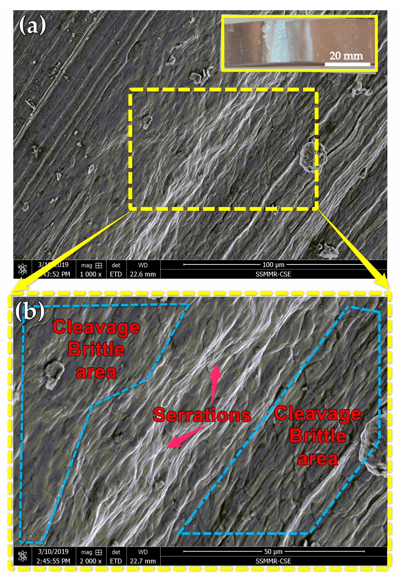 Materials 14 04585 g023