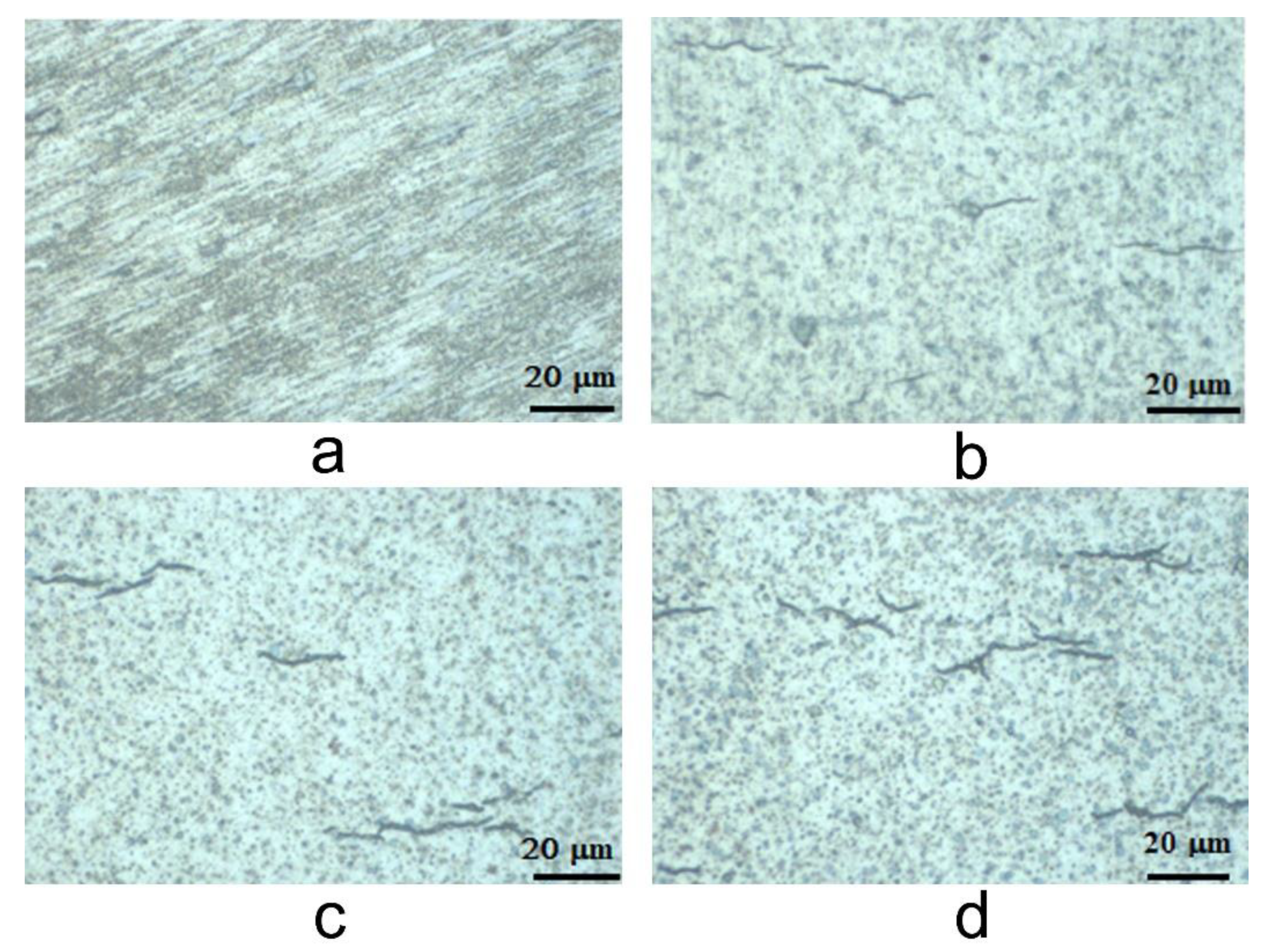 Materials 14 04586 g003 550