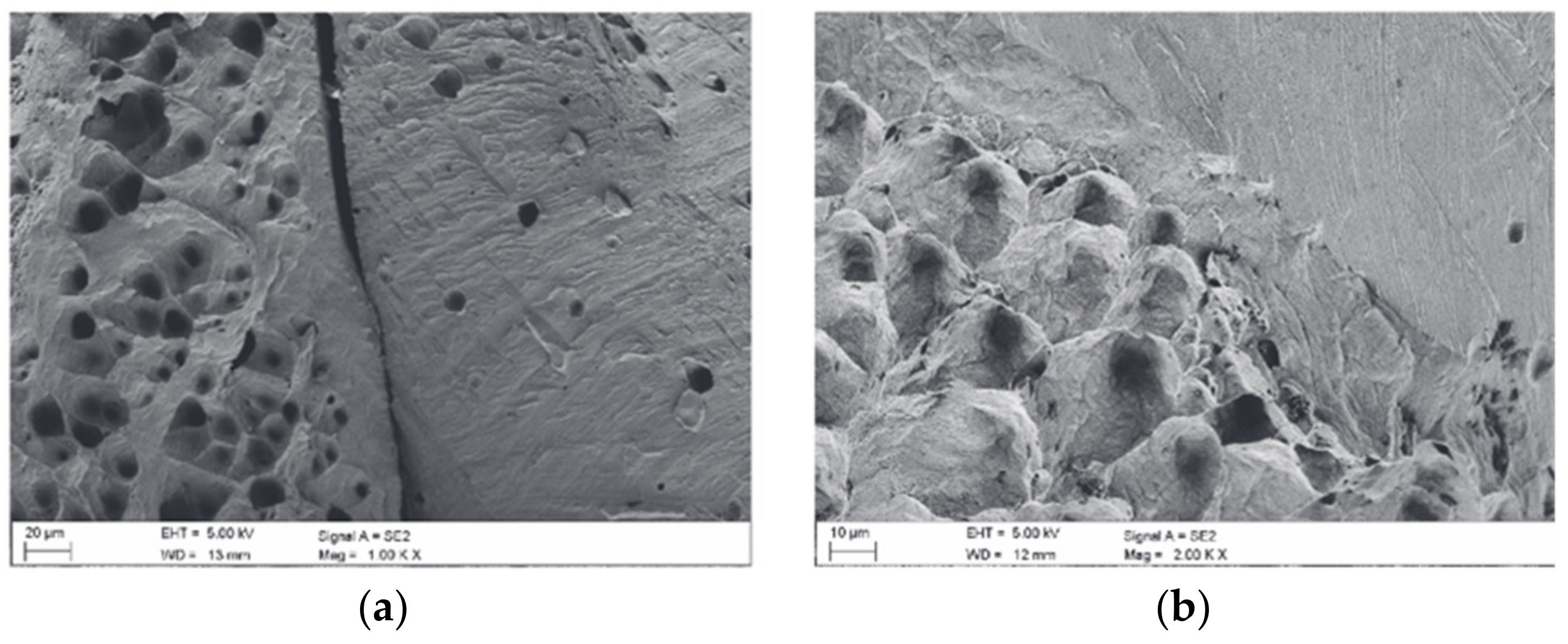 Materials 14 04587 g010 Materials 14 04587 g010