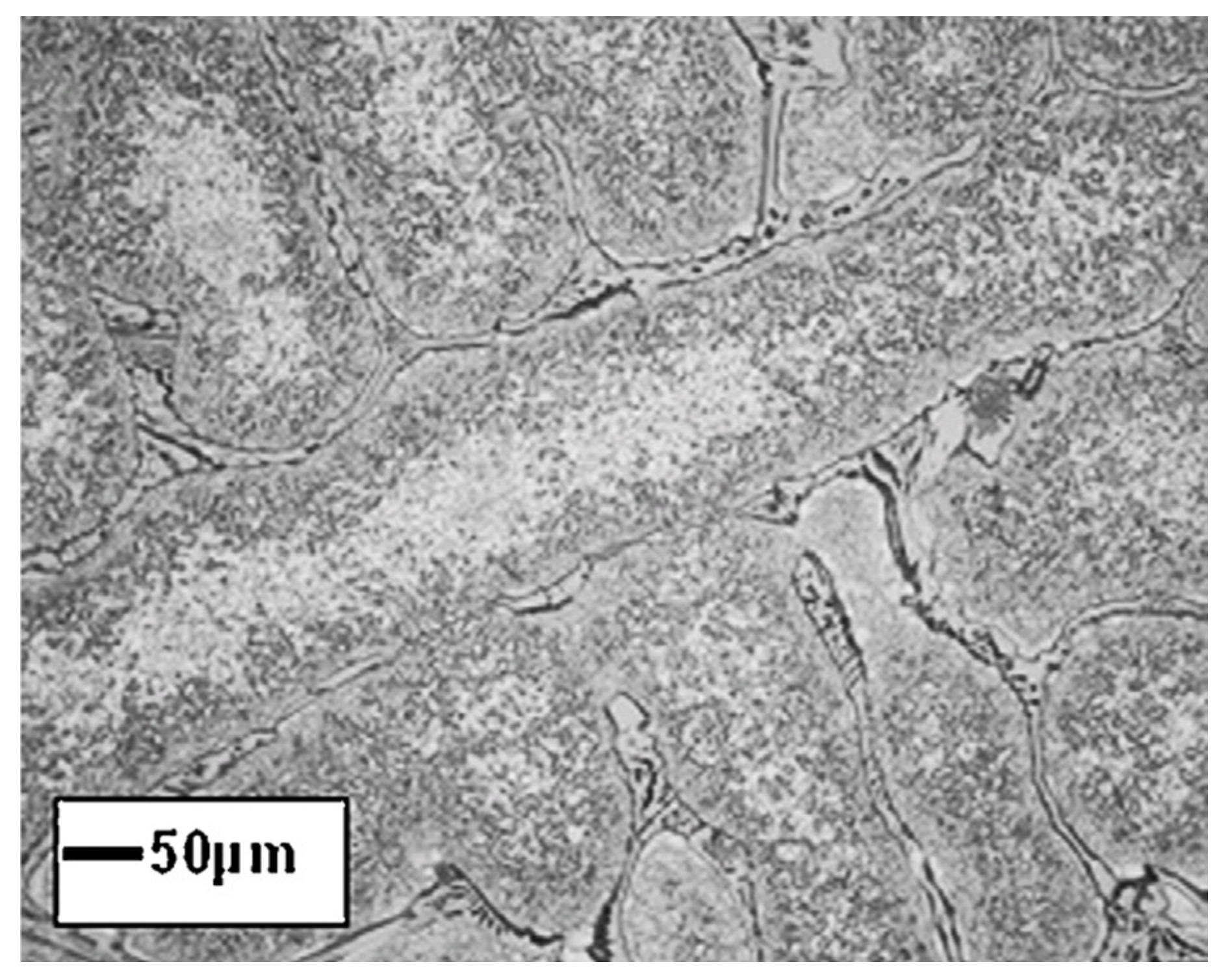 Materials 14 04587 g025 Materials 14 04587 g025