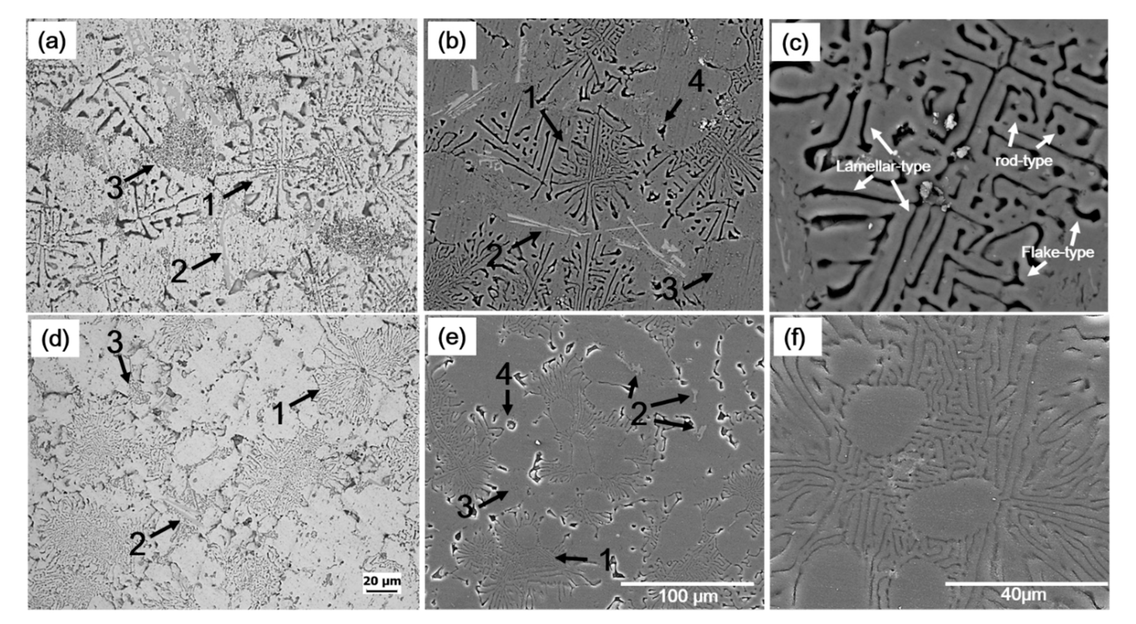 Materials 14 04588 g001 550