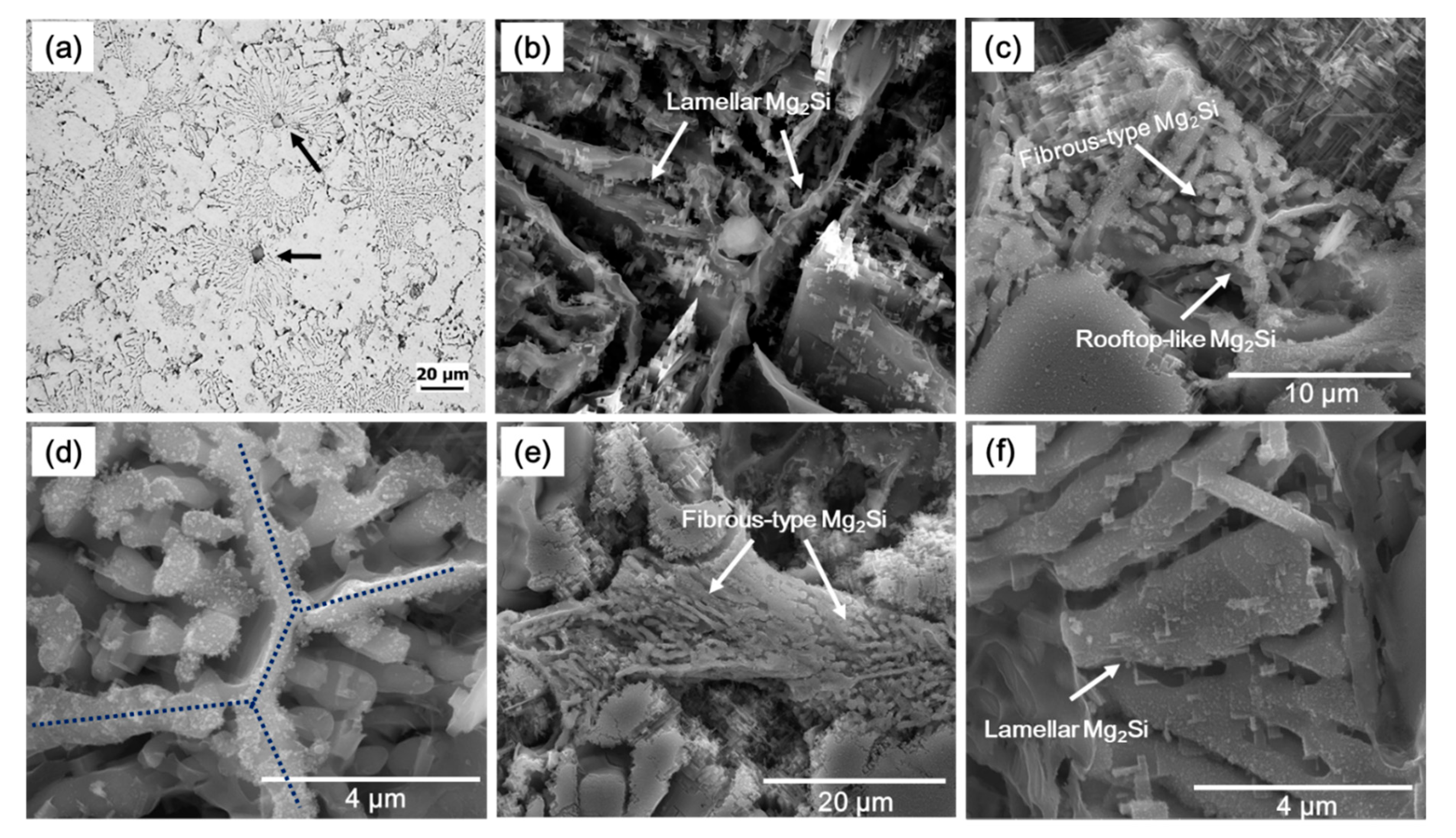 Materials 14 04588 g004 550