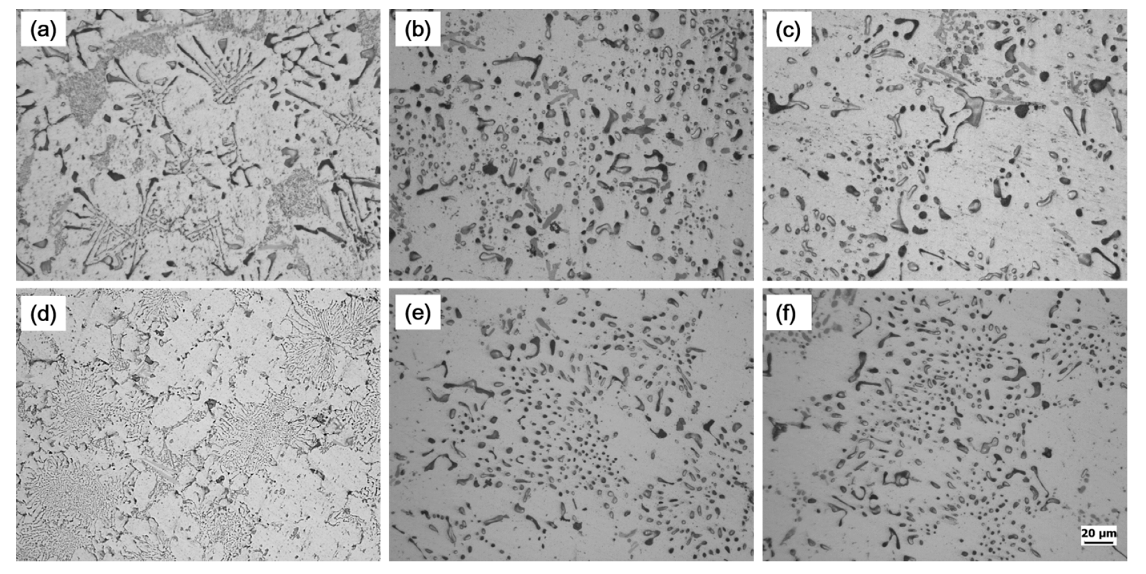 Materials 14 04588 g008 550