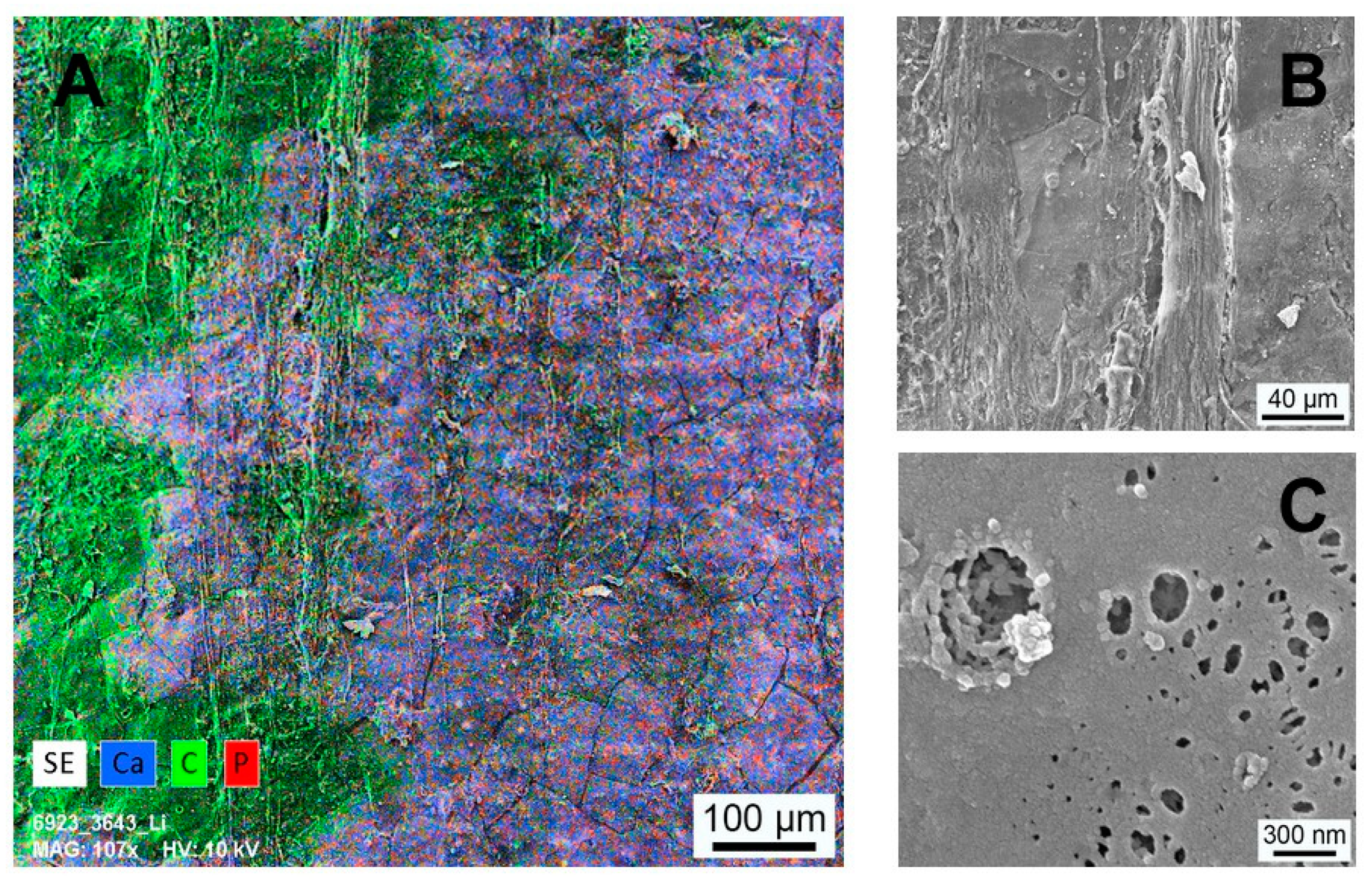 Materials 14 04589 g008 Materials 14 04589 g008