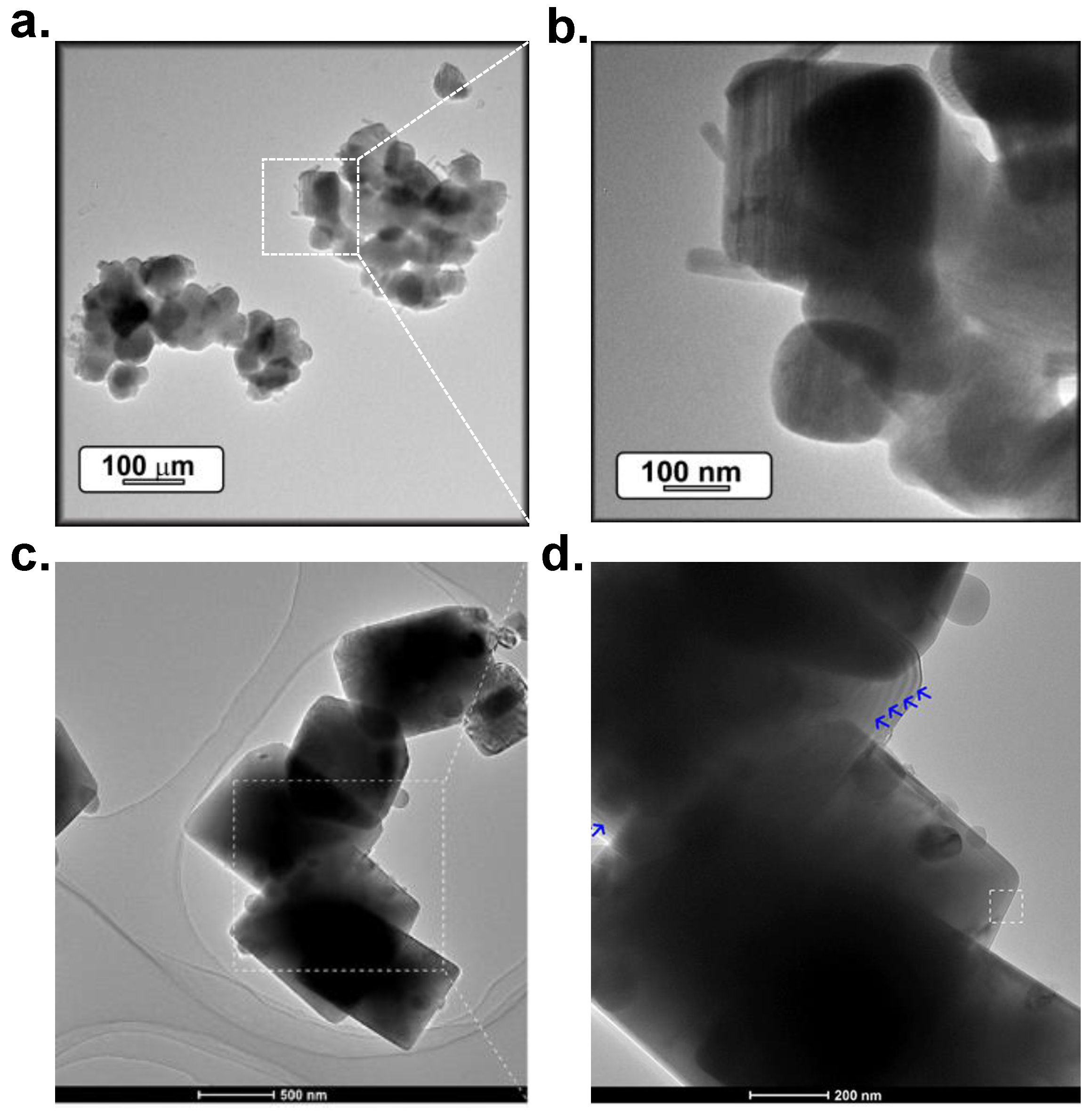 Materials 14 04591 g004 550