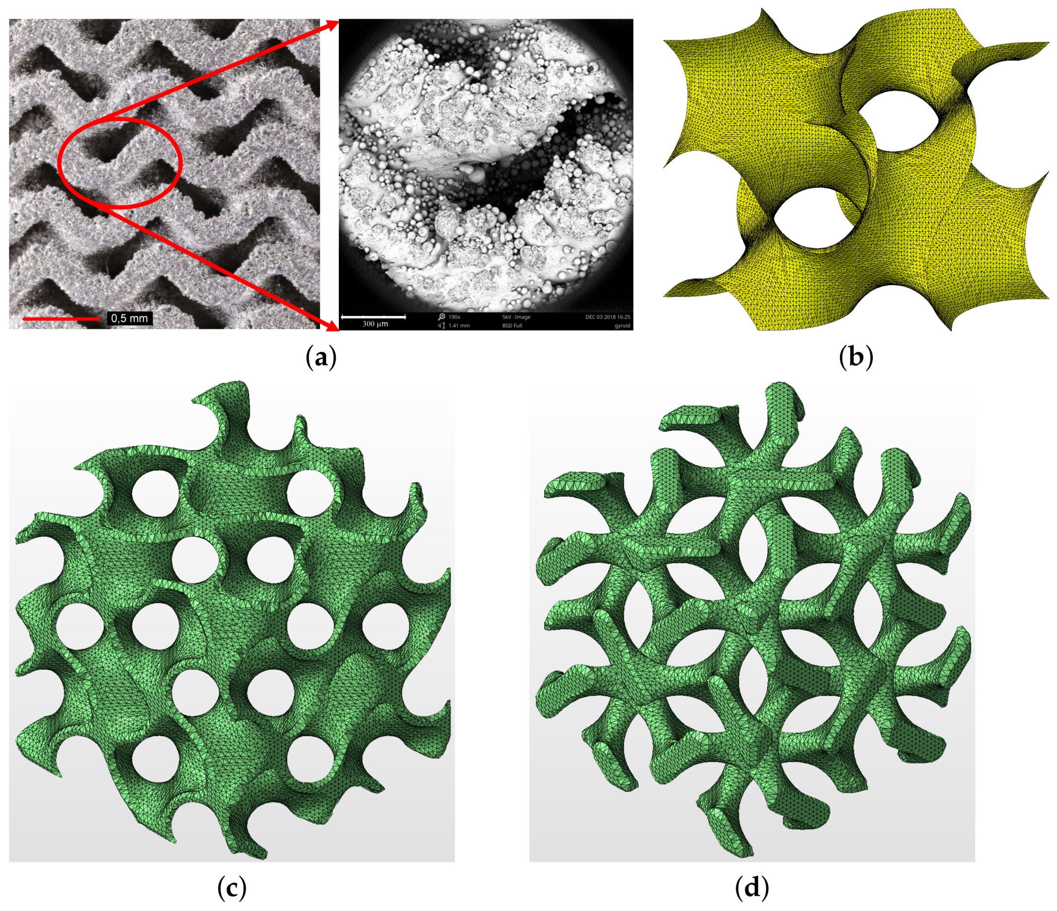 Materials 14 04592 g006