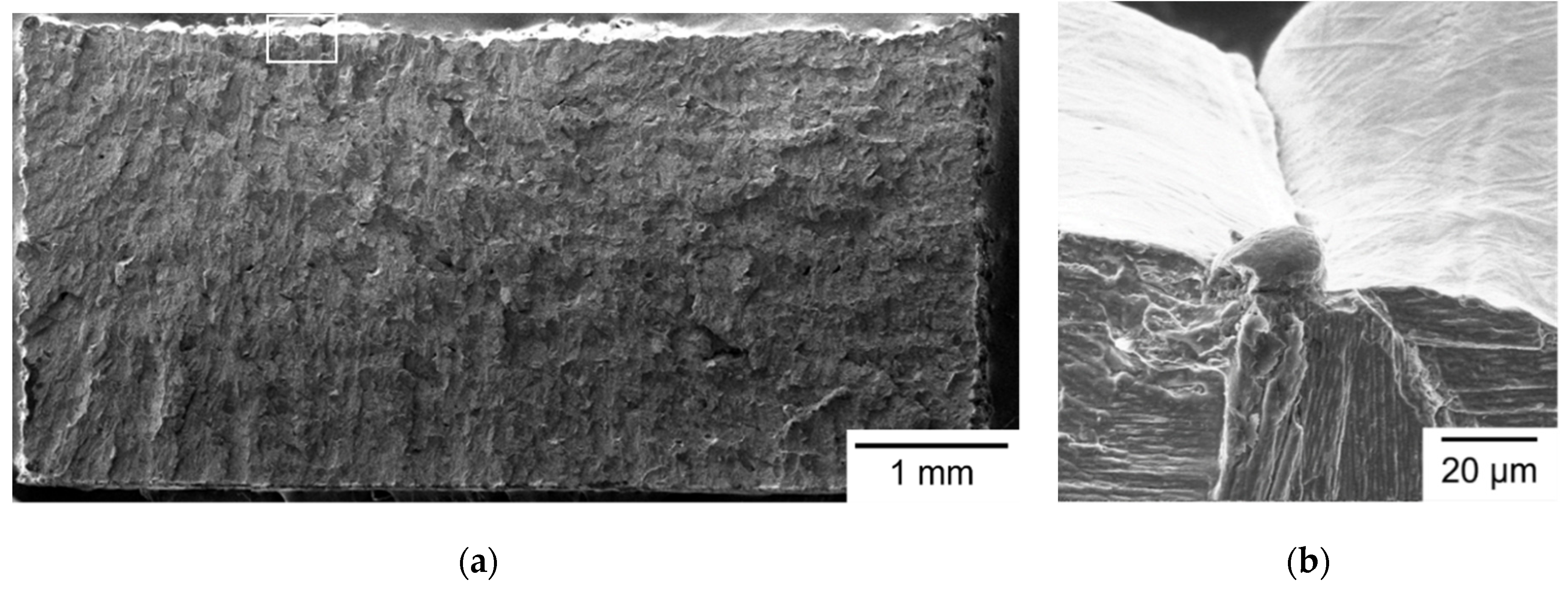 Materials 14 04593 g004