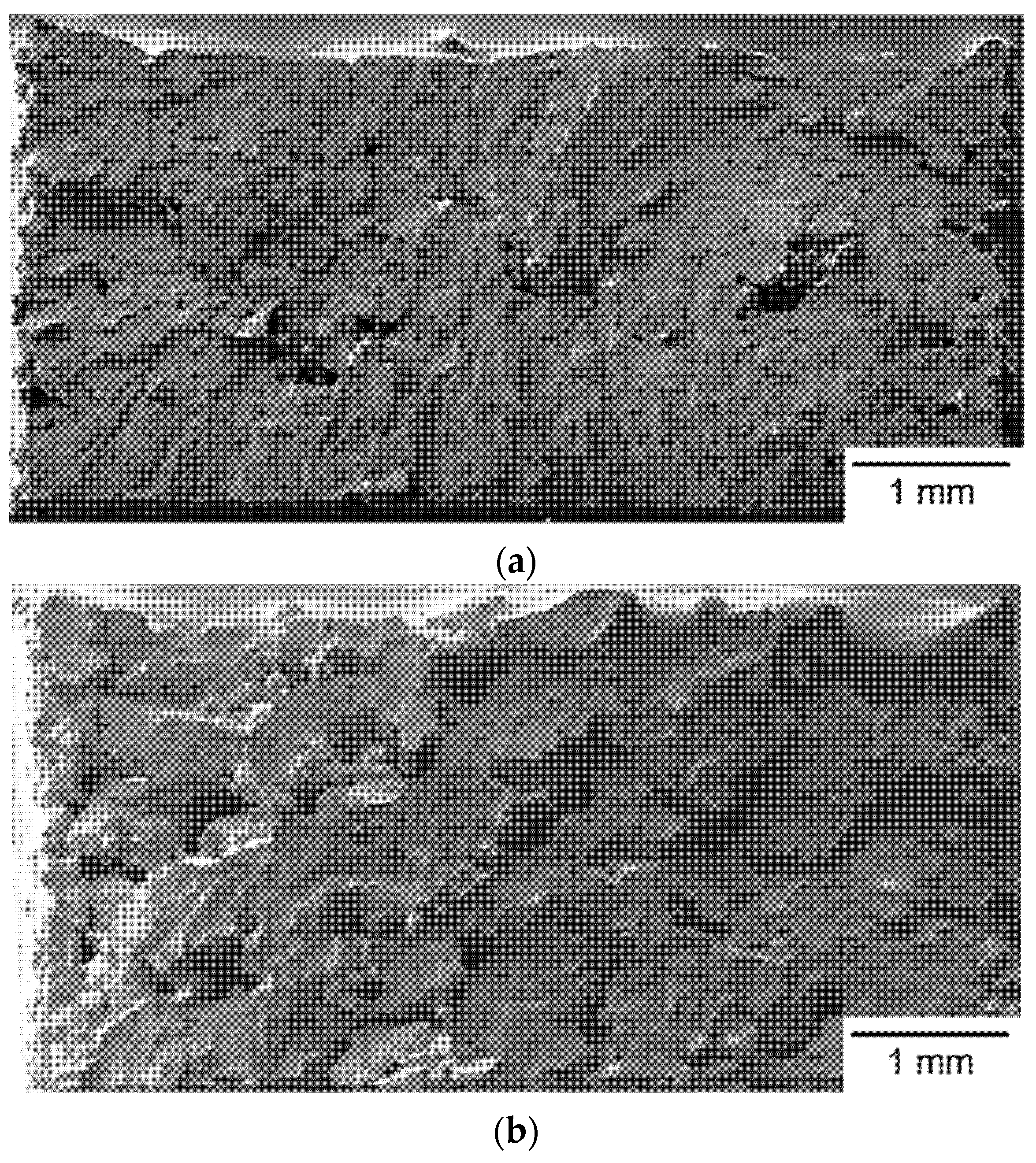 Materials 14 04593 g006