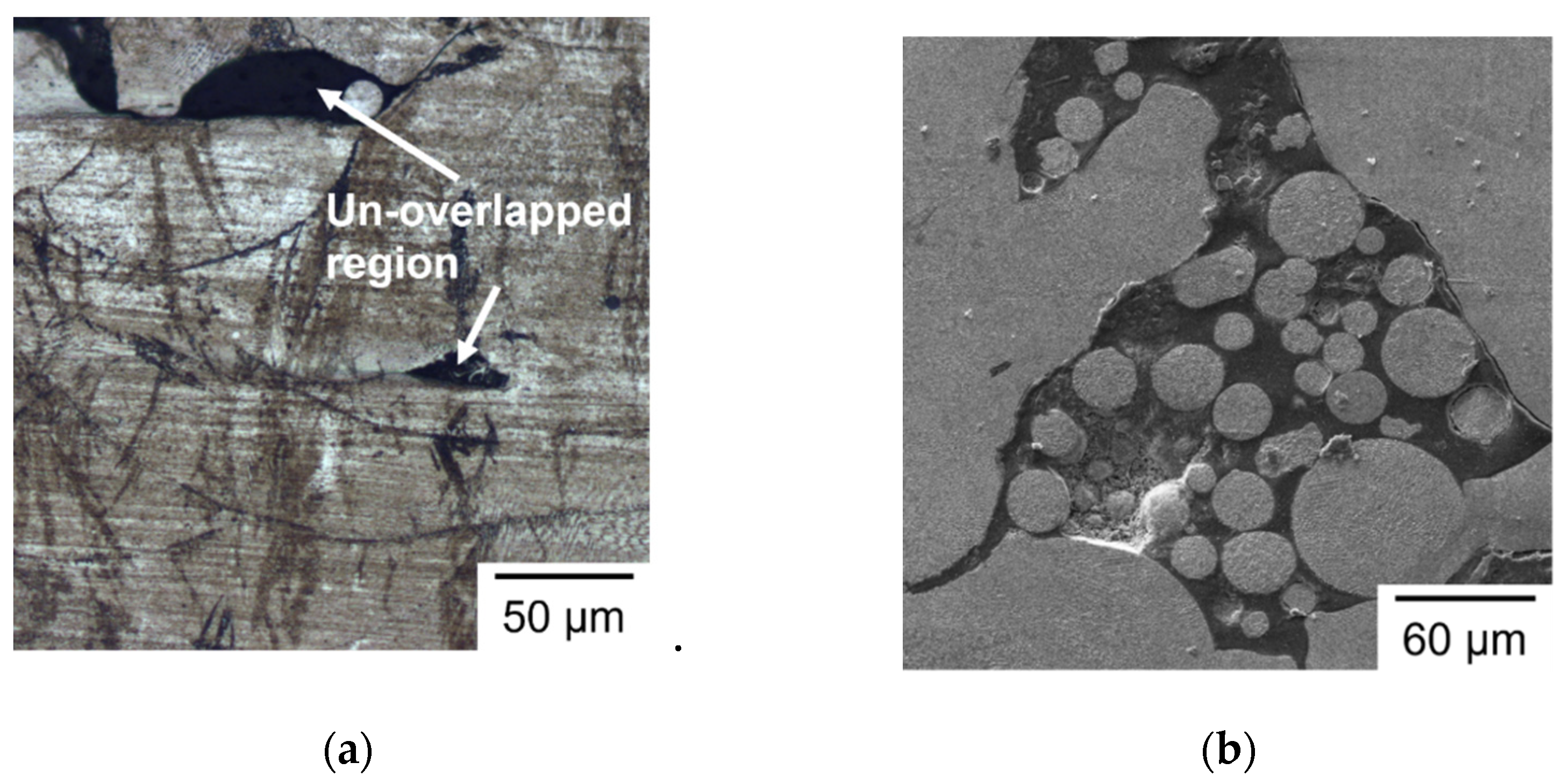 Materials 14 04593 g009