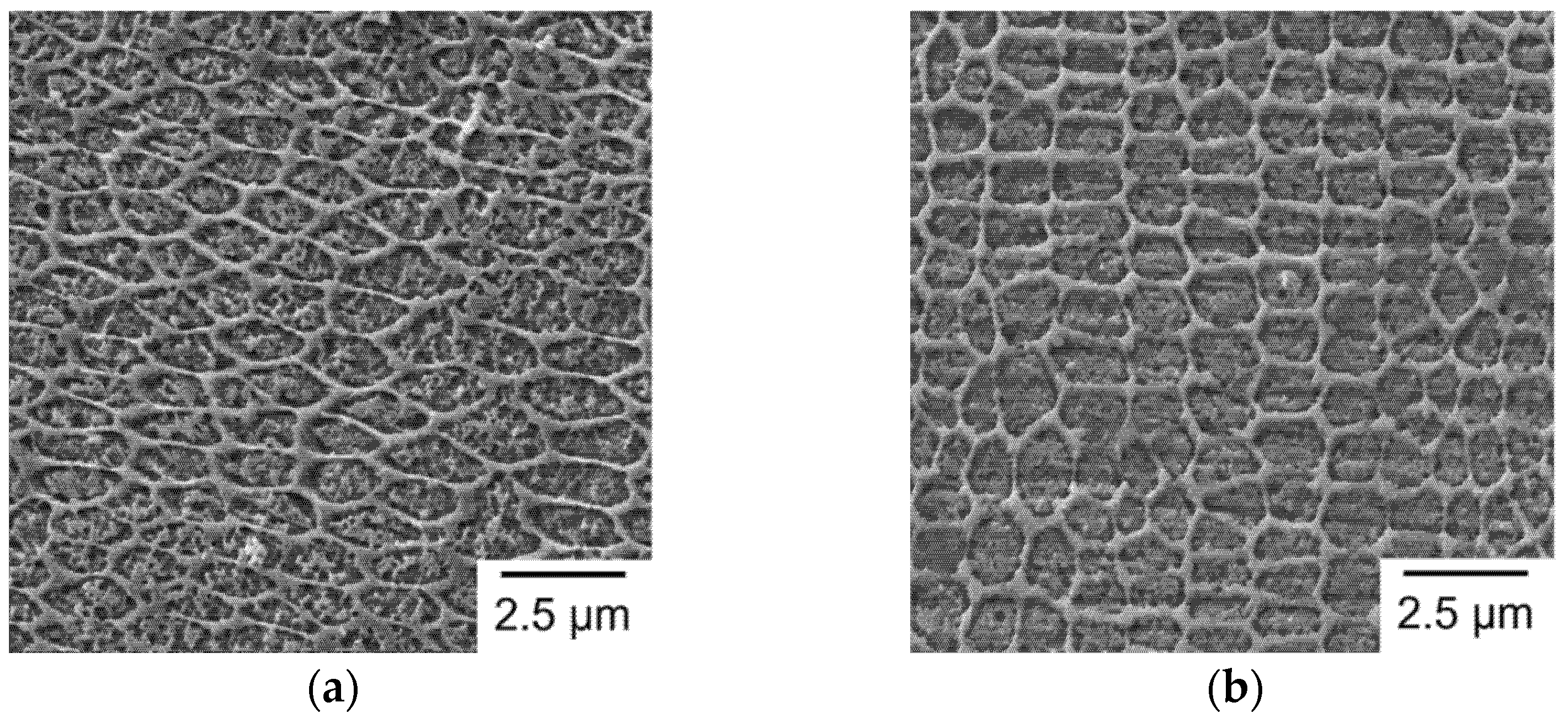 Materials 14 04593 g010a