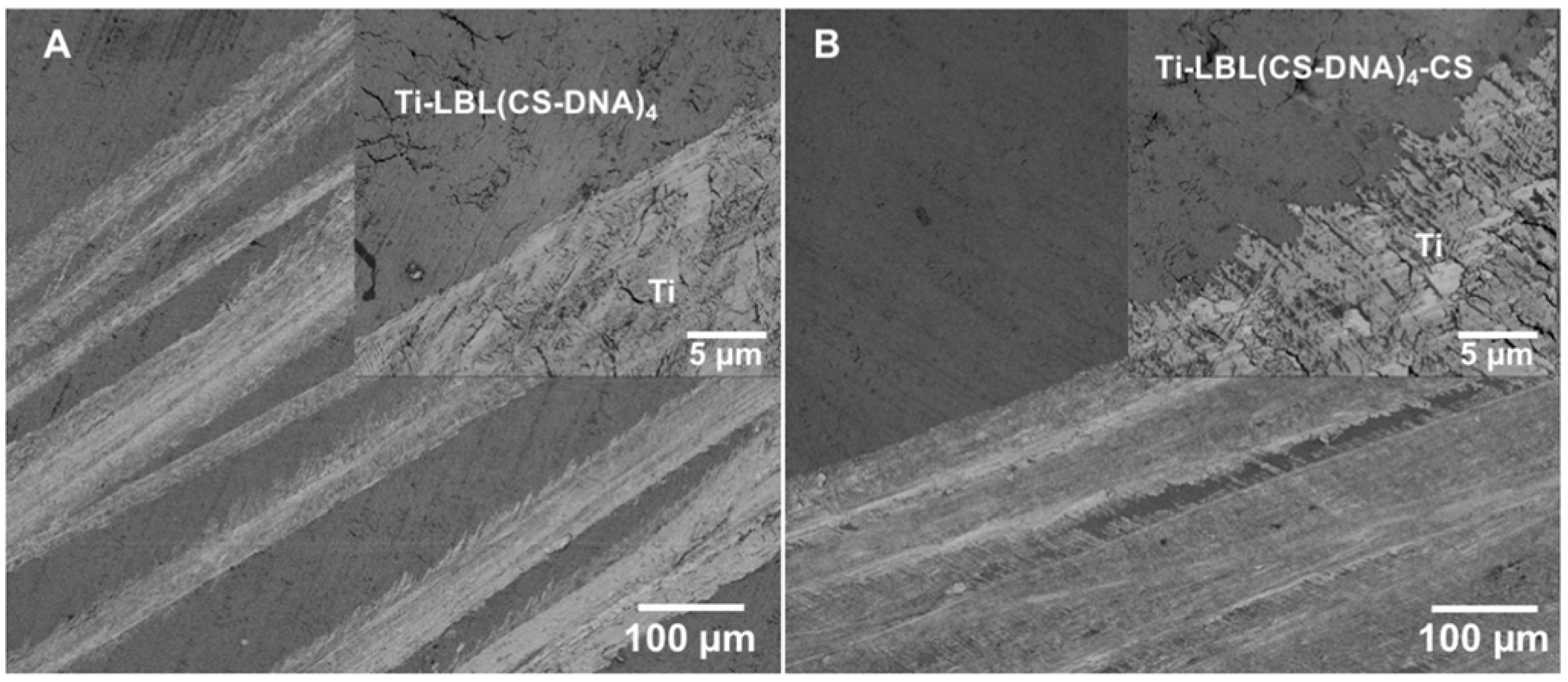 Materials 14 04596 g001 550