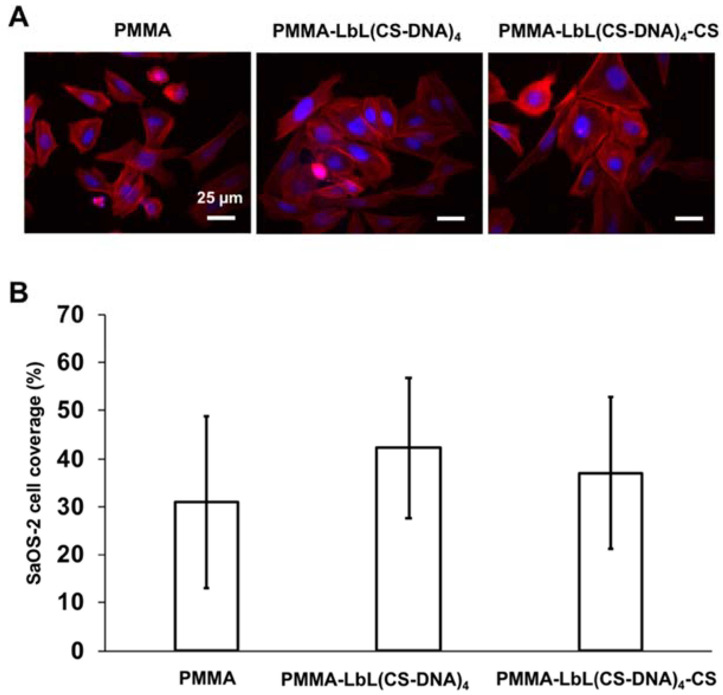 Materials 14 04596 g008 550