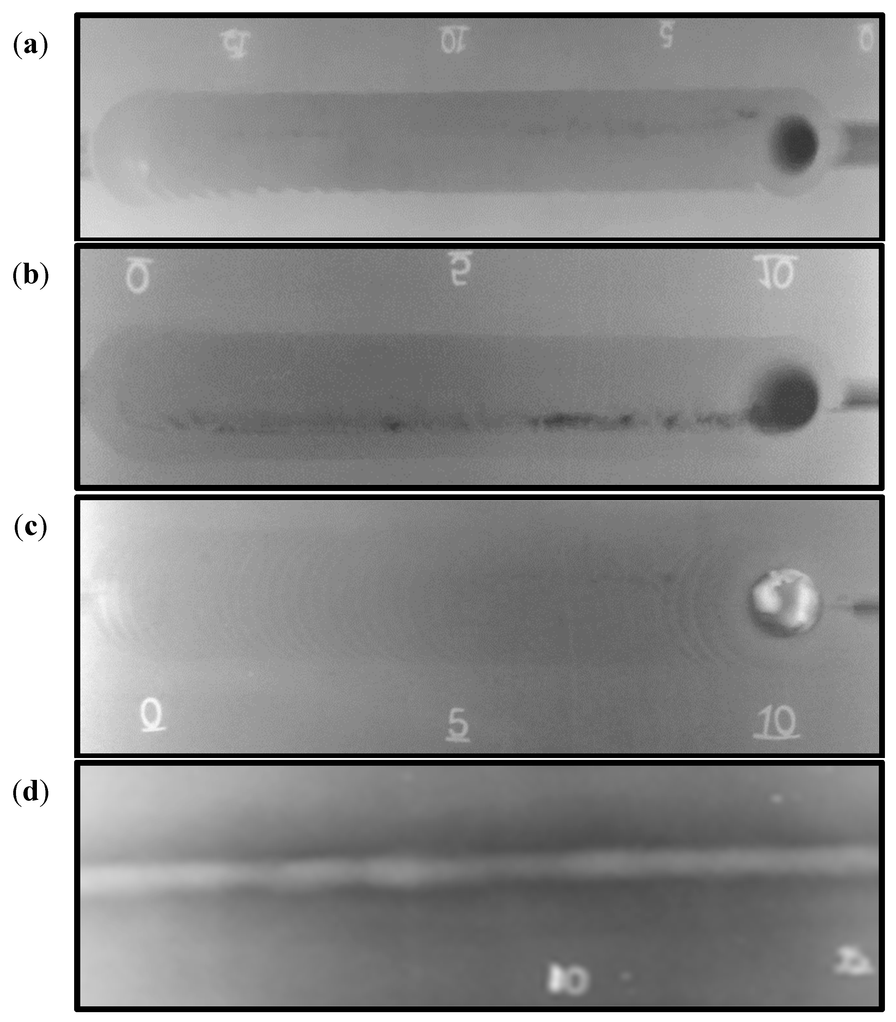 Materials 14 04597 g007 550