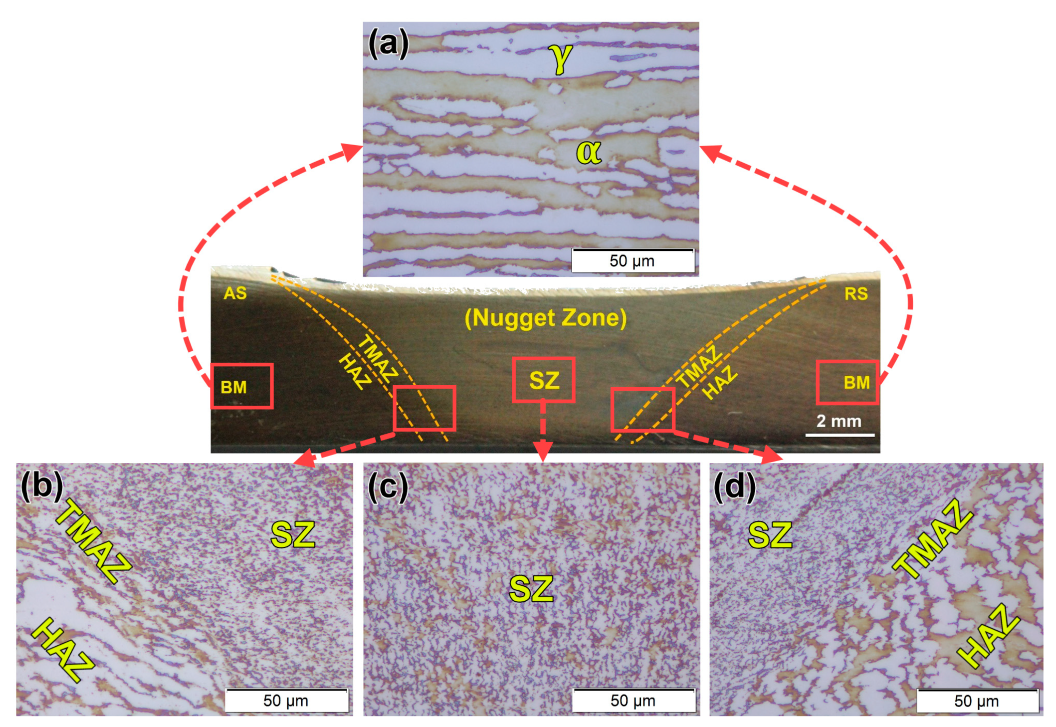 Materials 14 04597 g009 550