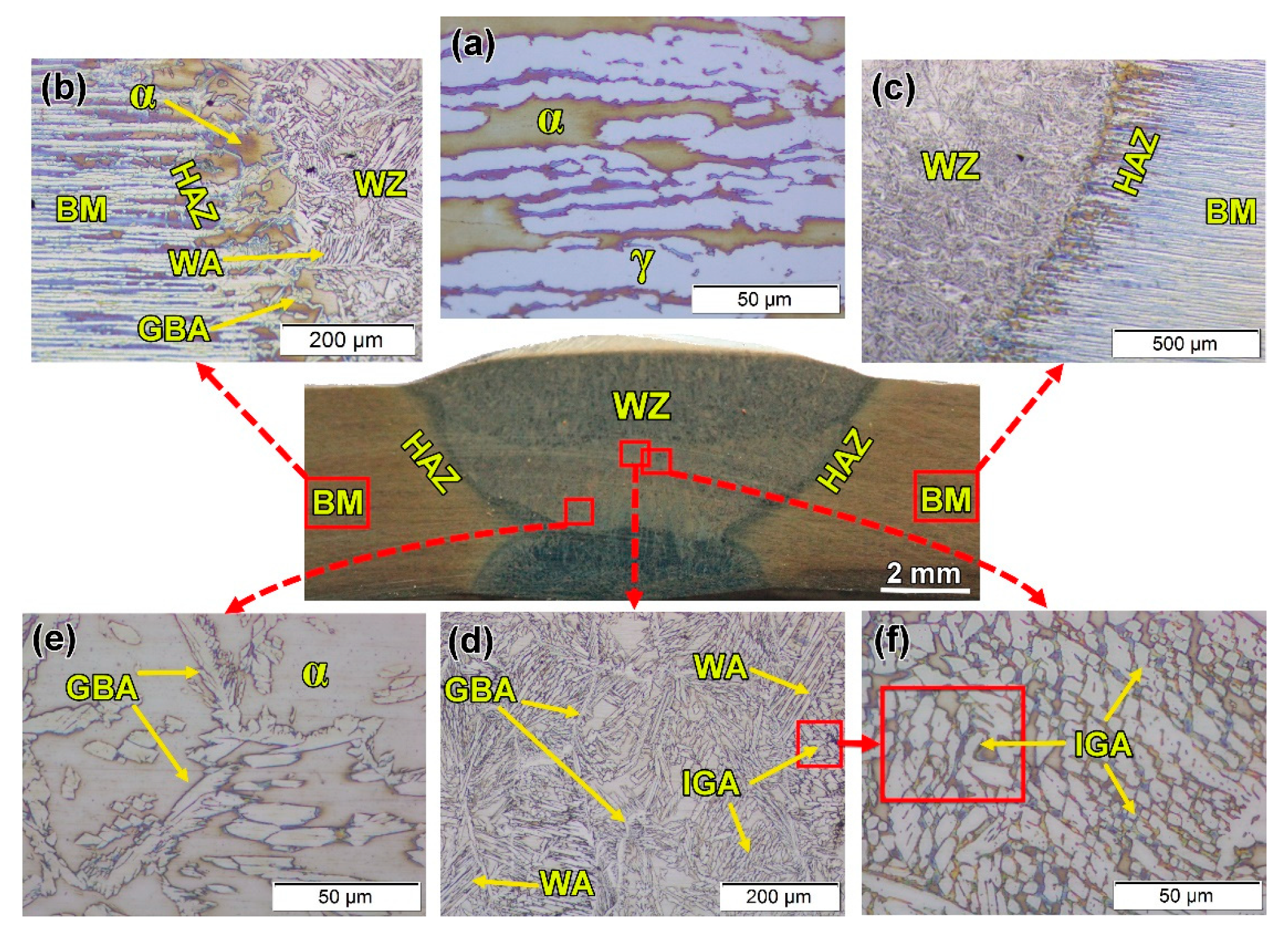 Materials 14 04597 g010 550