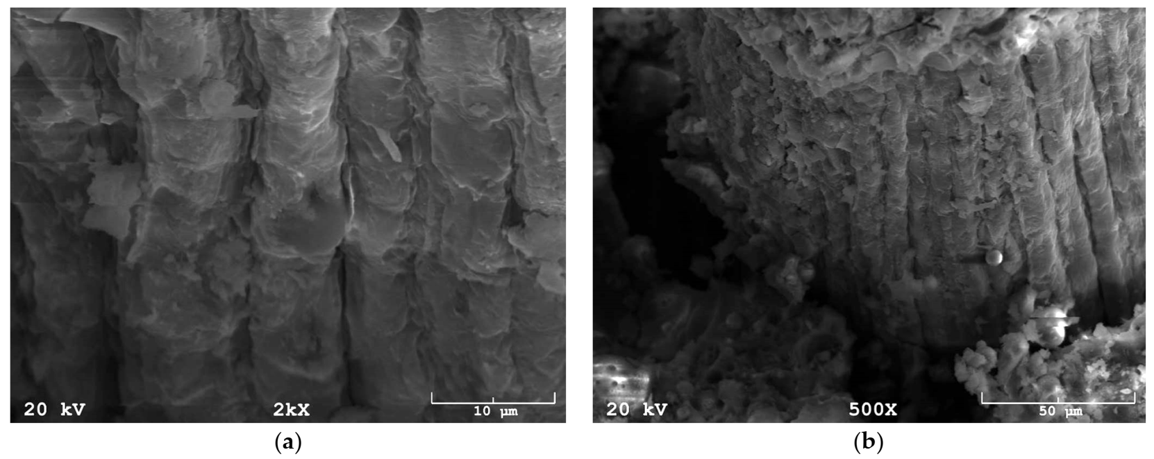 Materials 14 04599 g002 550