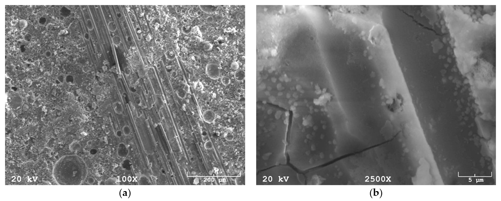 Materials 14 04599 g004 550