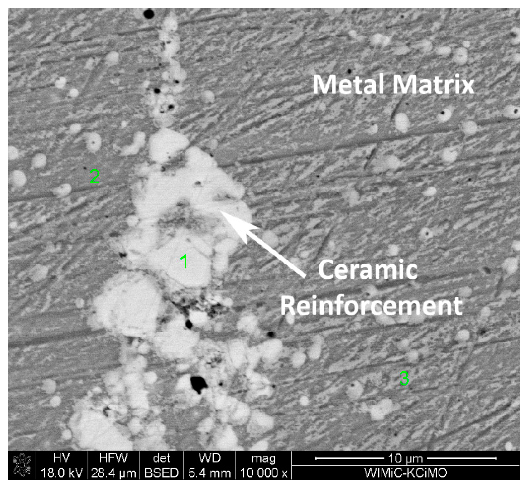 Materials 14 04606 g007 550