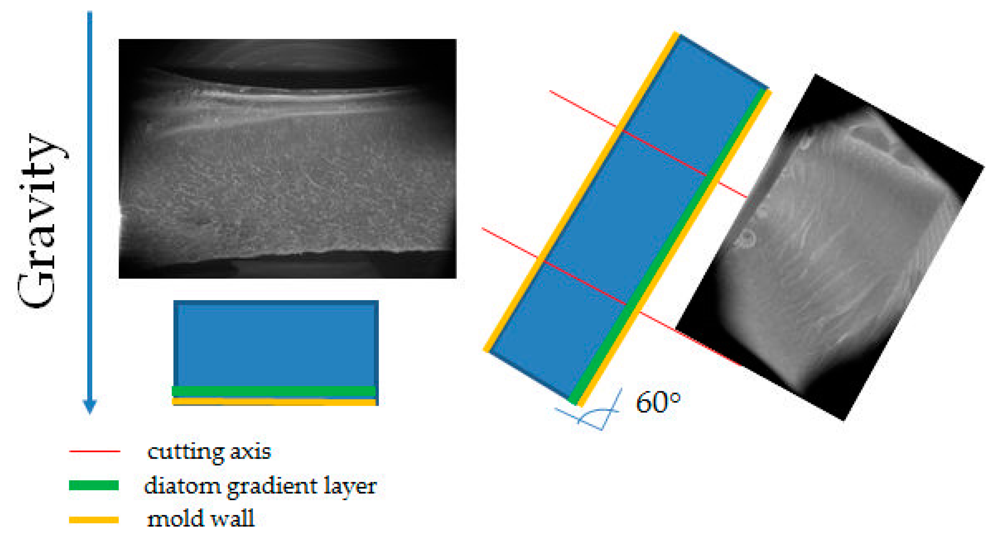 Materials 14 04607 g001