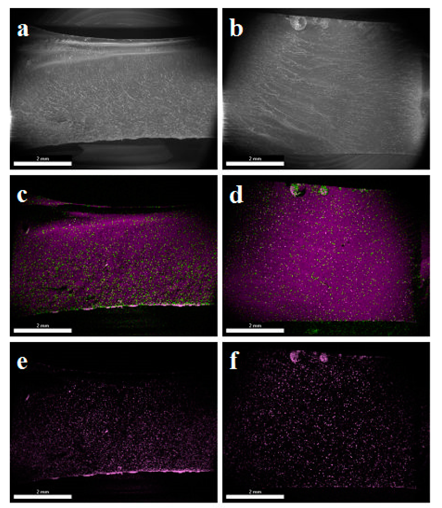 Materials 14 04607 g002