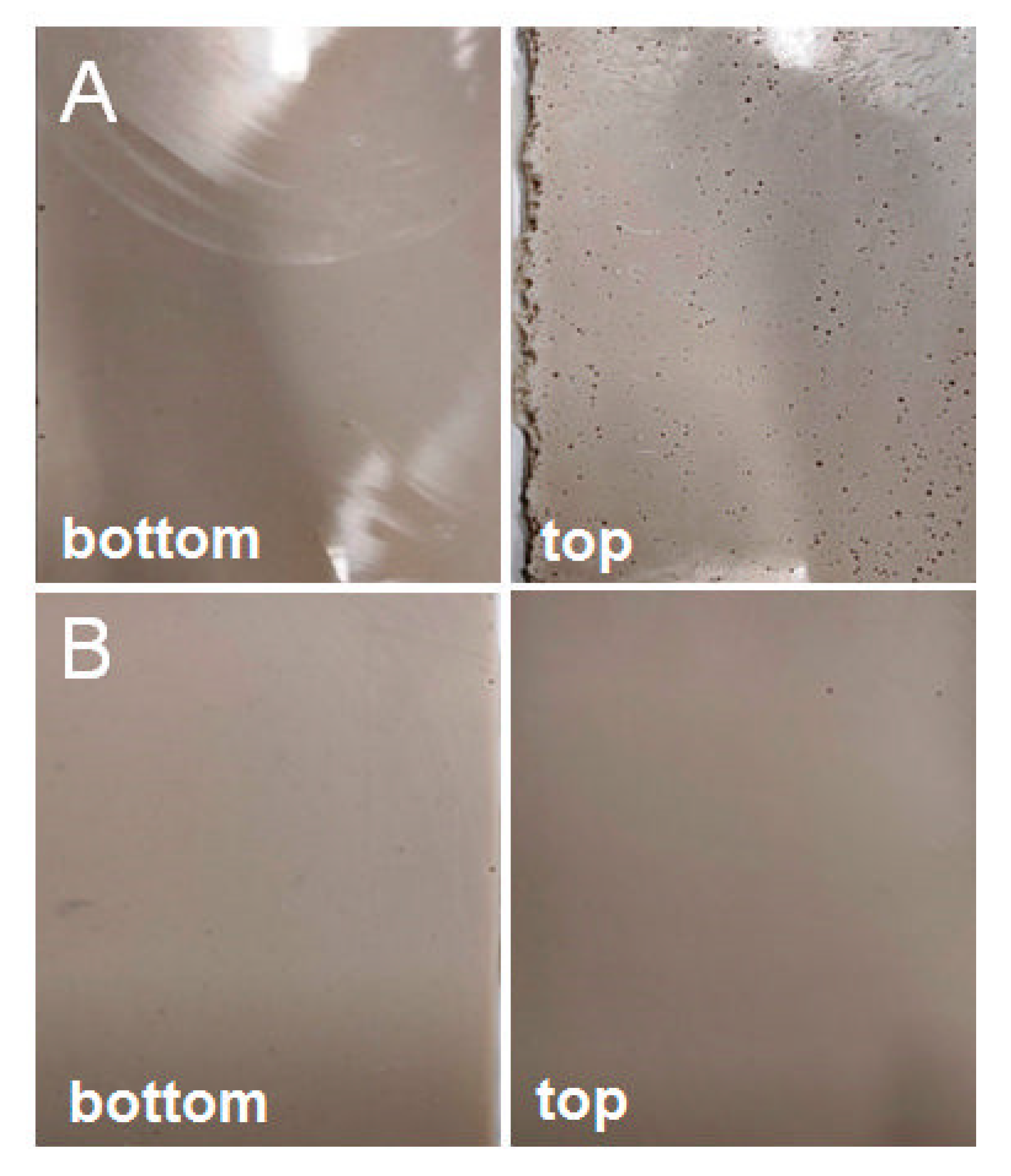 Materials 14 04607 g005