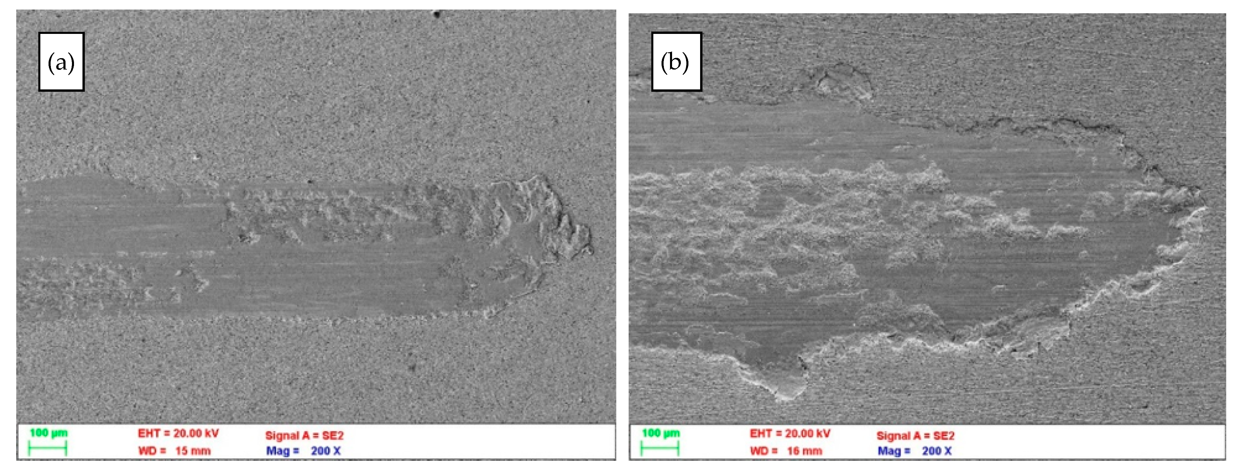 Materials 14 04613 g005