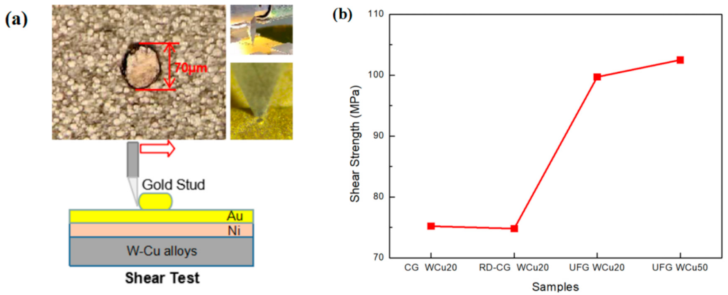 Materials 14 04615 g010 550