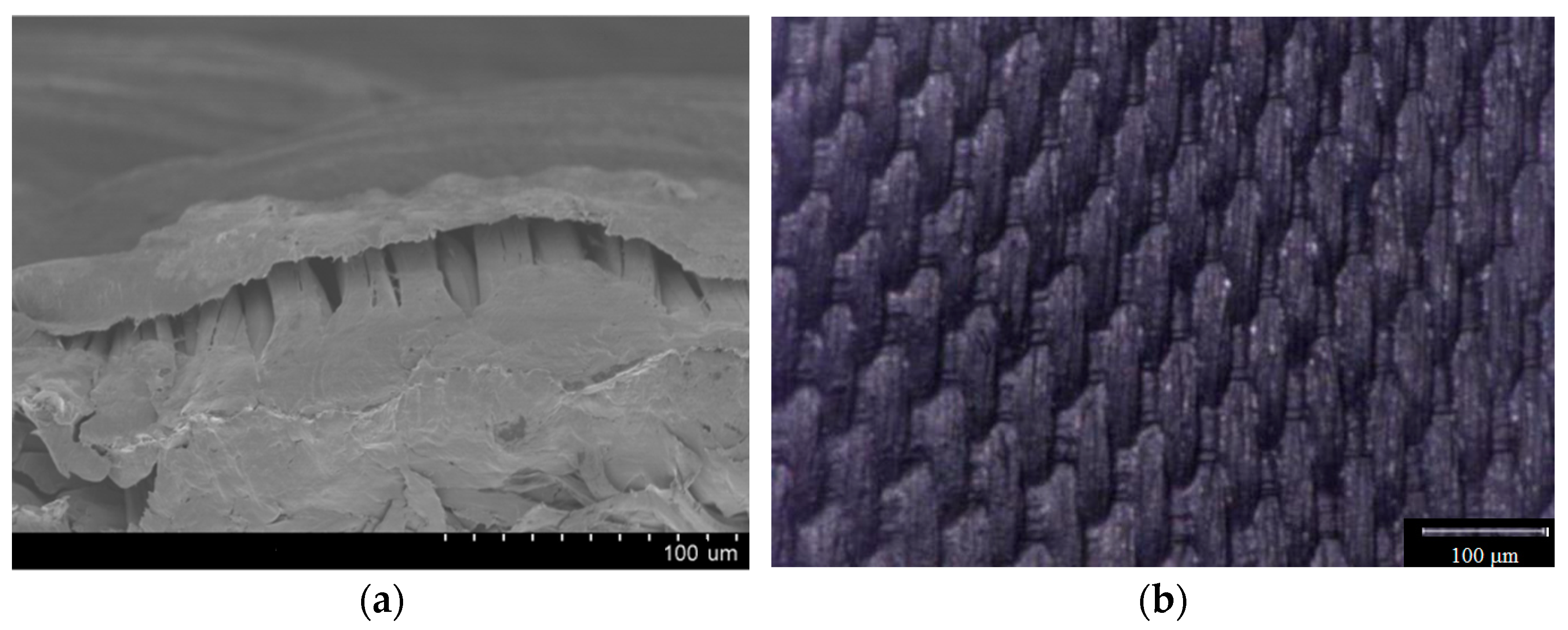 Materials 14 04616 g003