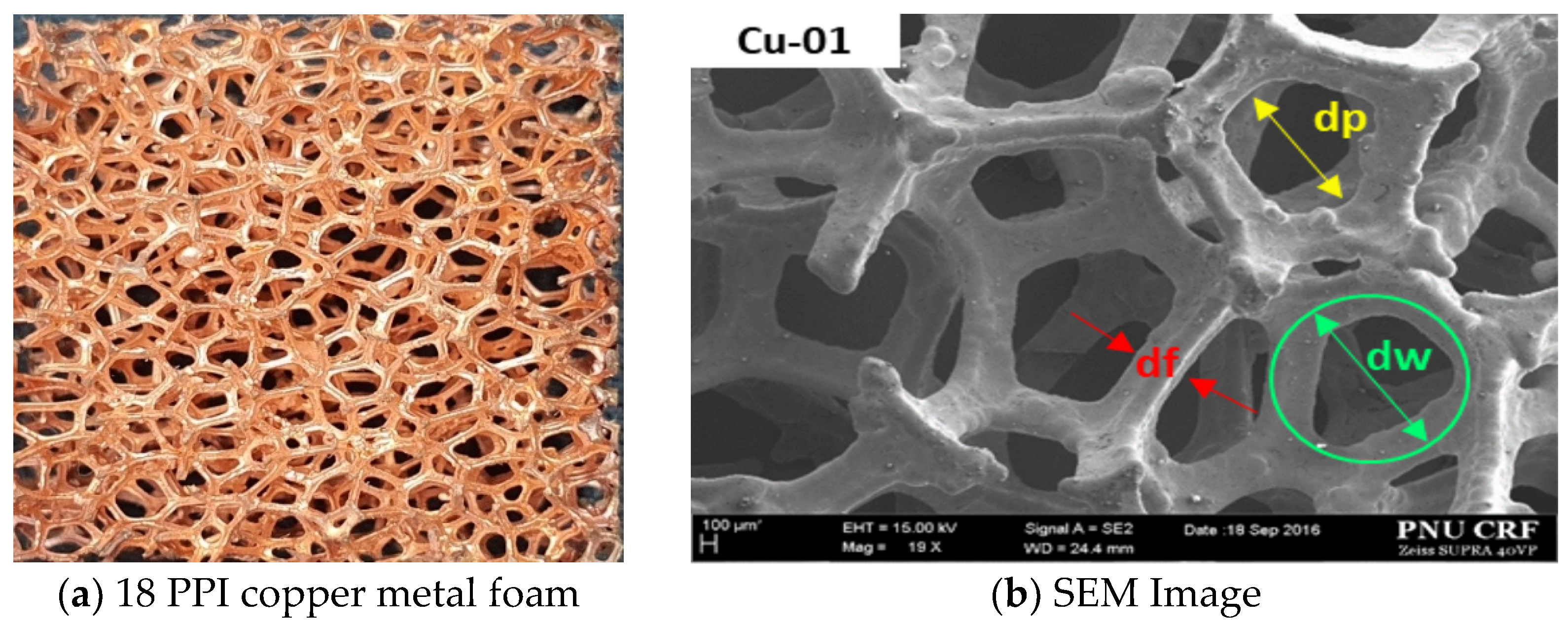 Materials 14 04617 g001 550