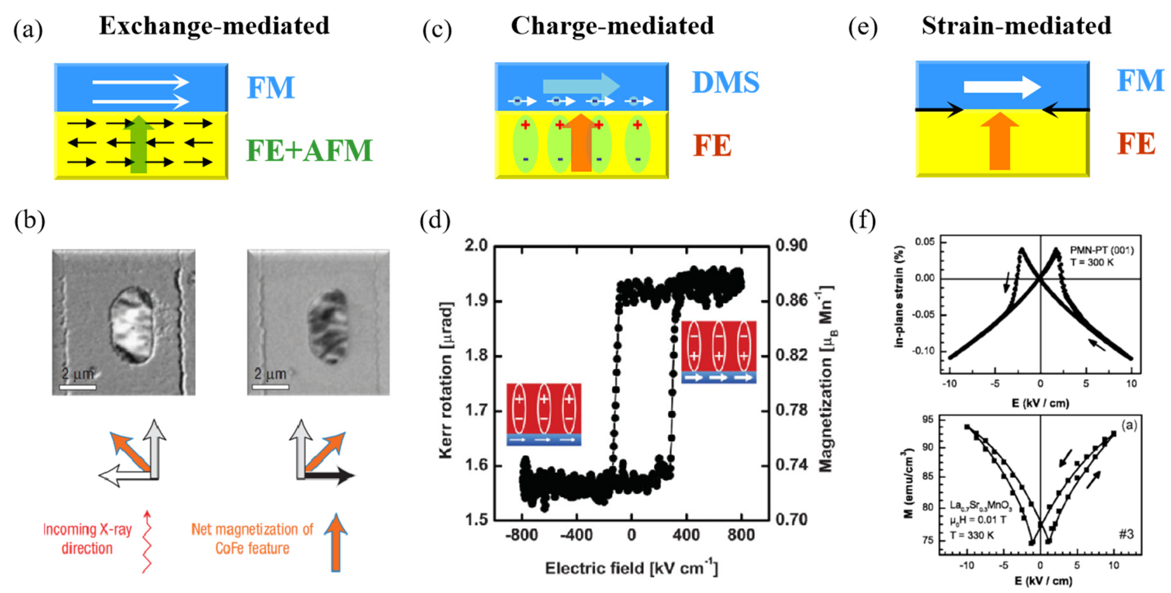 Materials 14 04623 g002